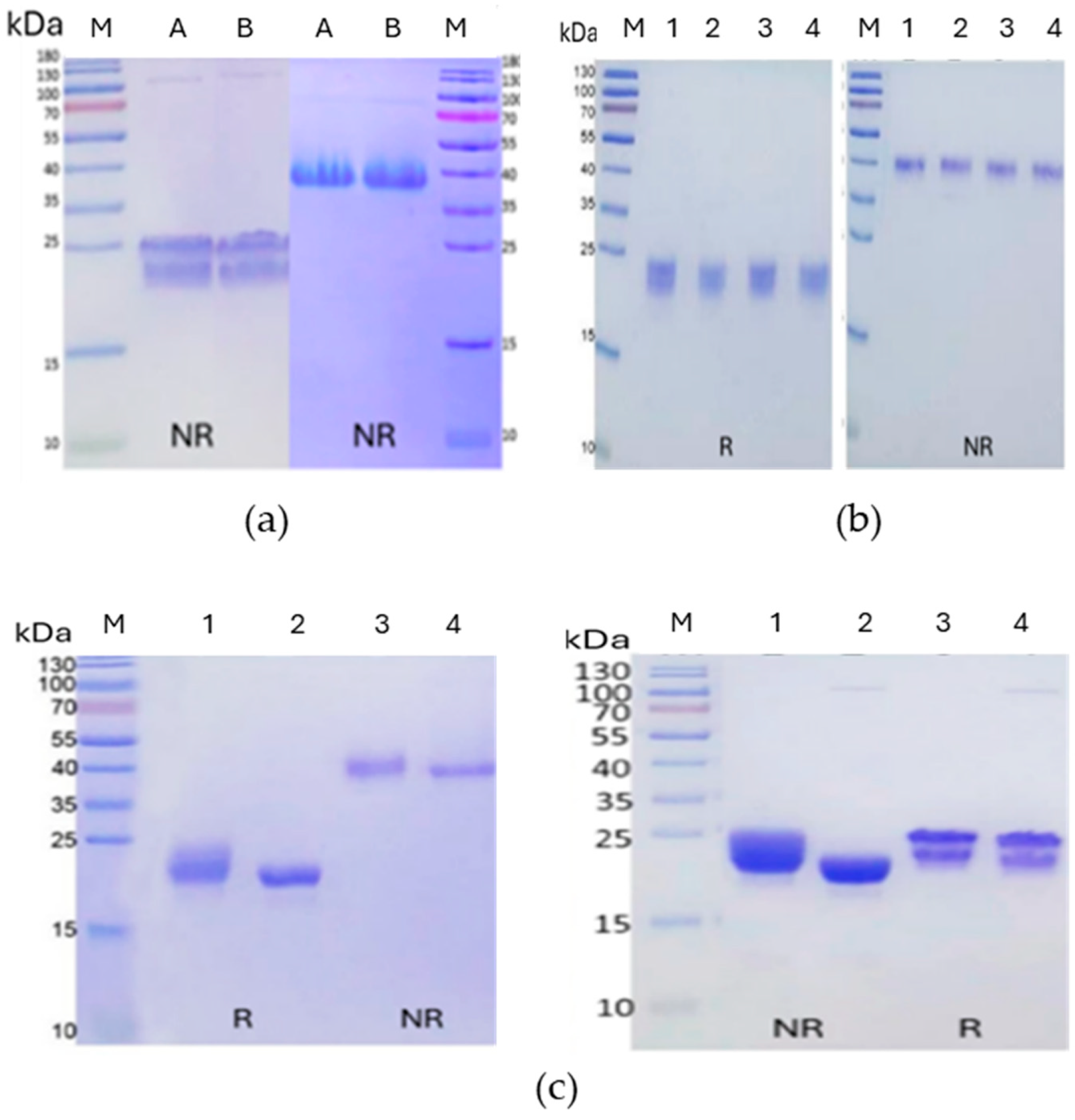 Preprints 195928 g002
