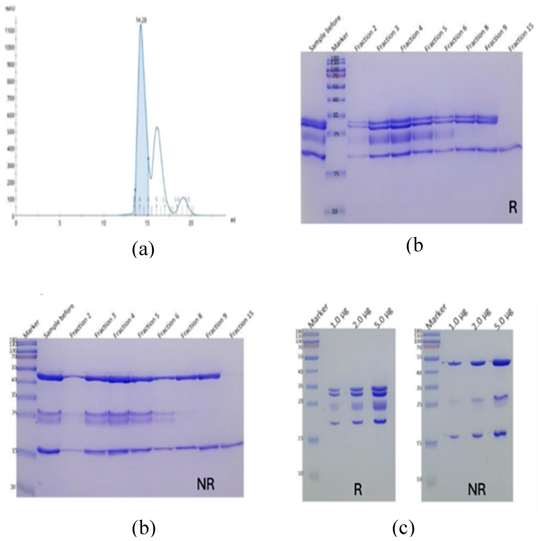 Preprints 195928 g003