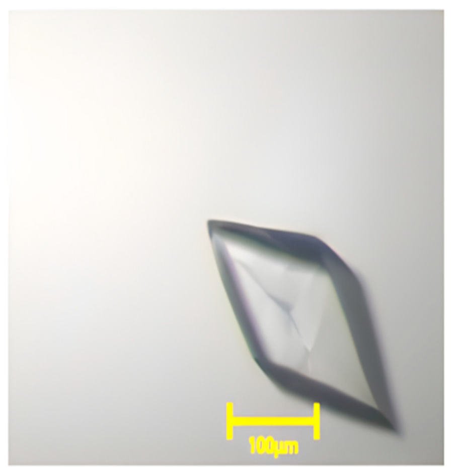 Preprints 195928 g004