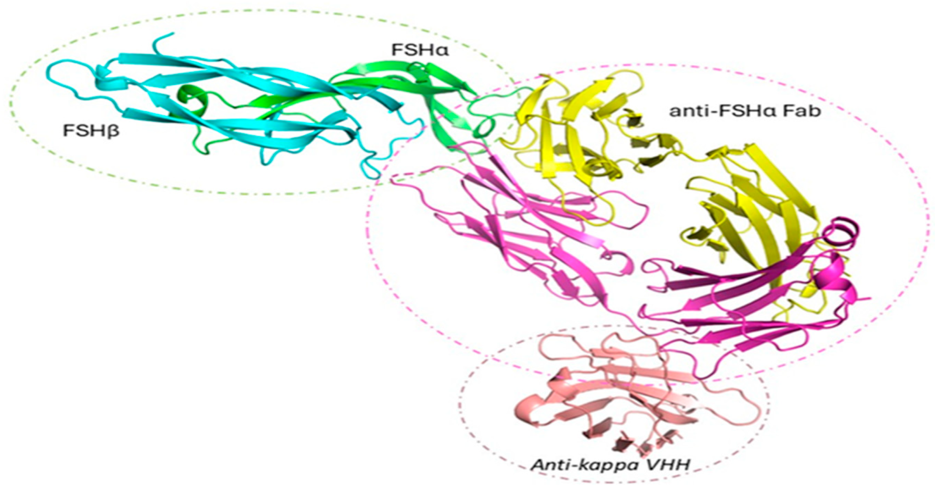 Preprints 195928 g005