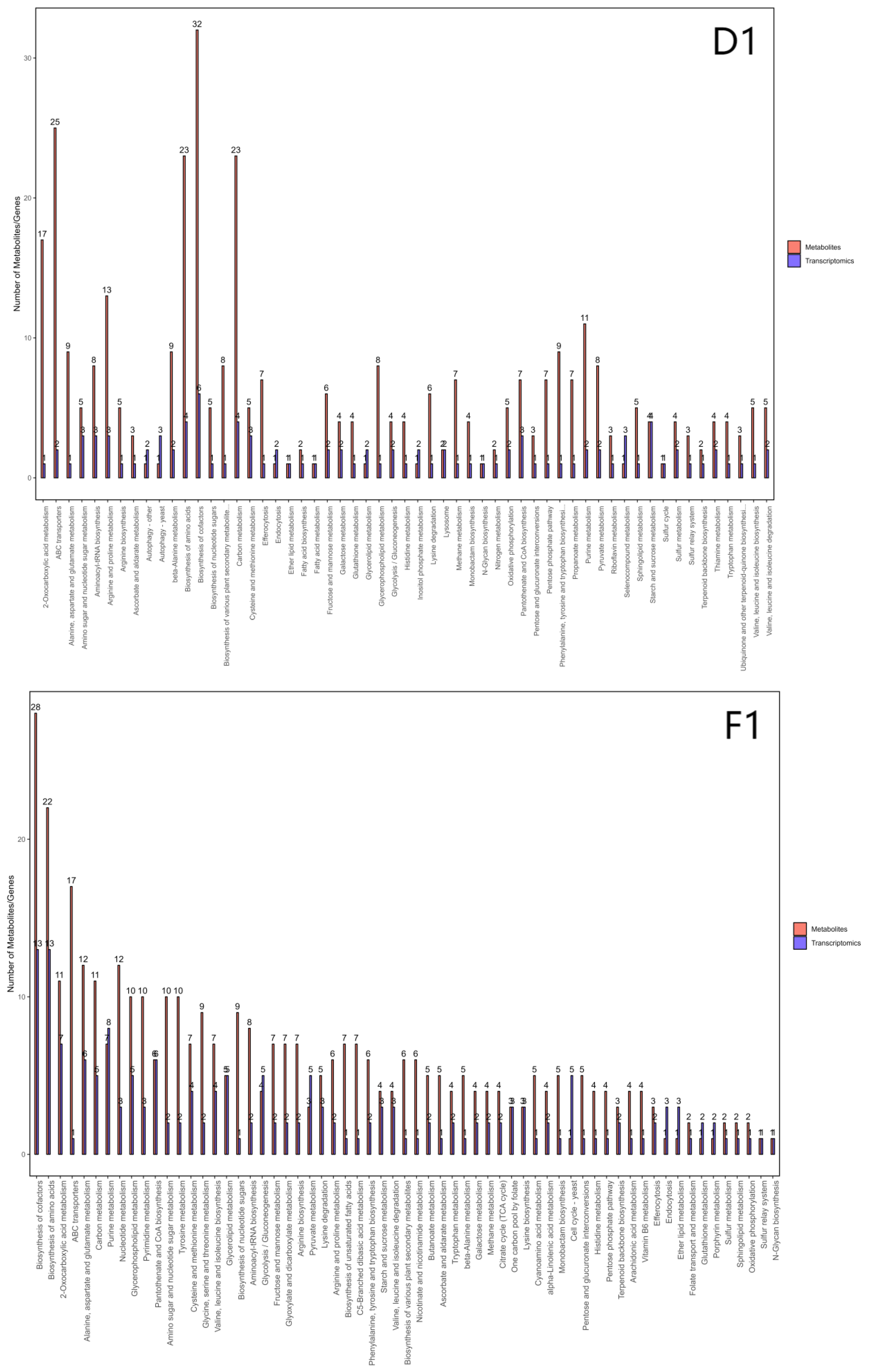 Preprints 196339 g008b