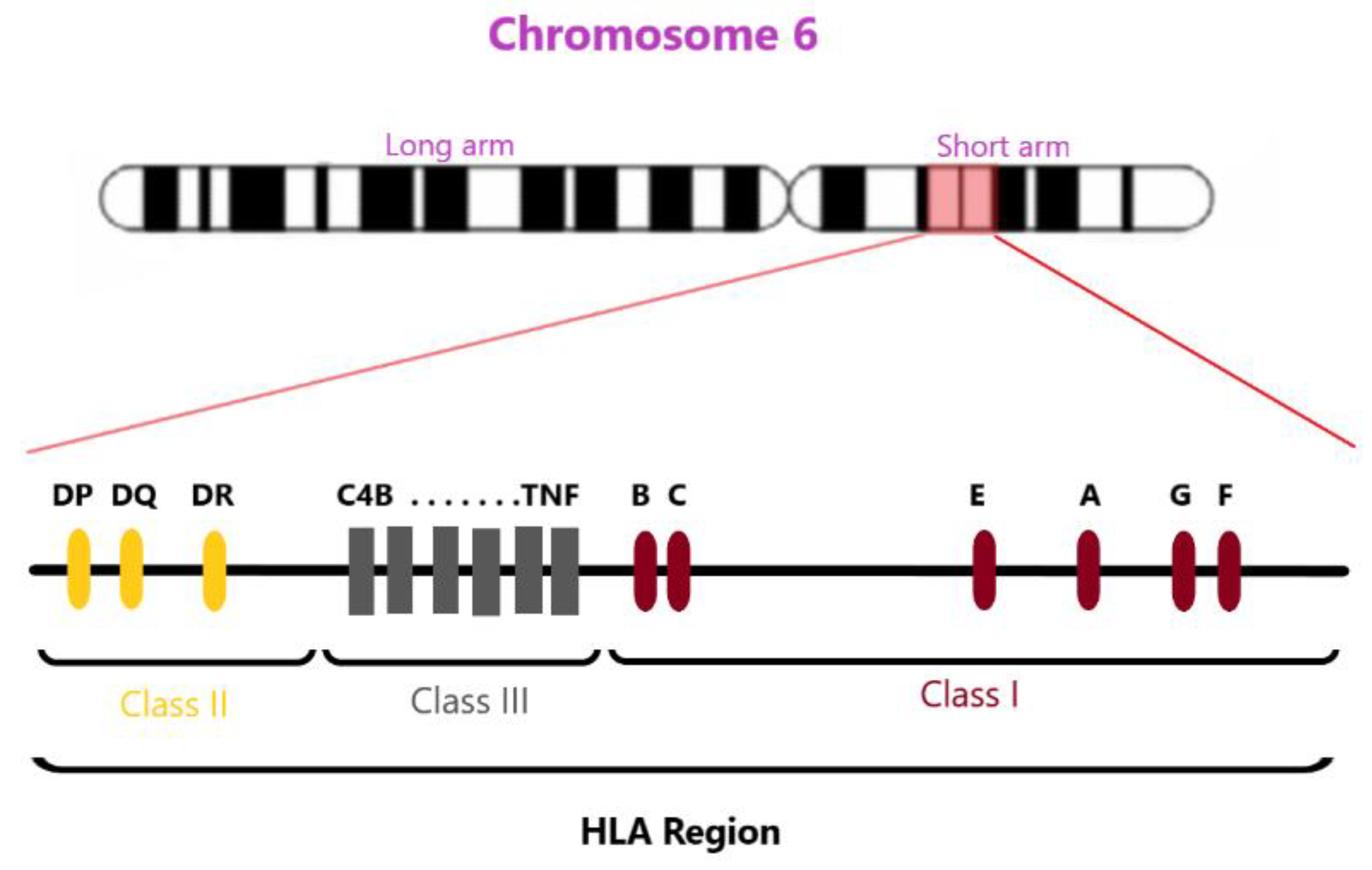 Preprints 222573 g001