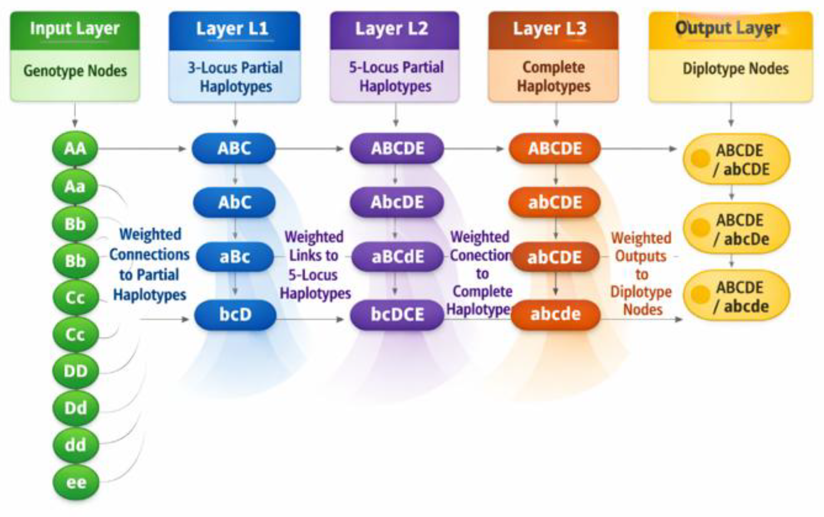Preprints 222573 g002