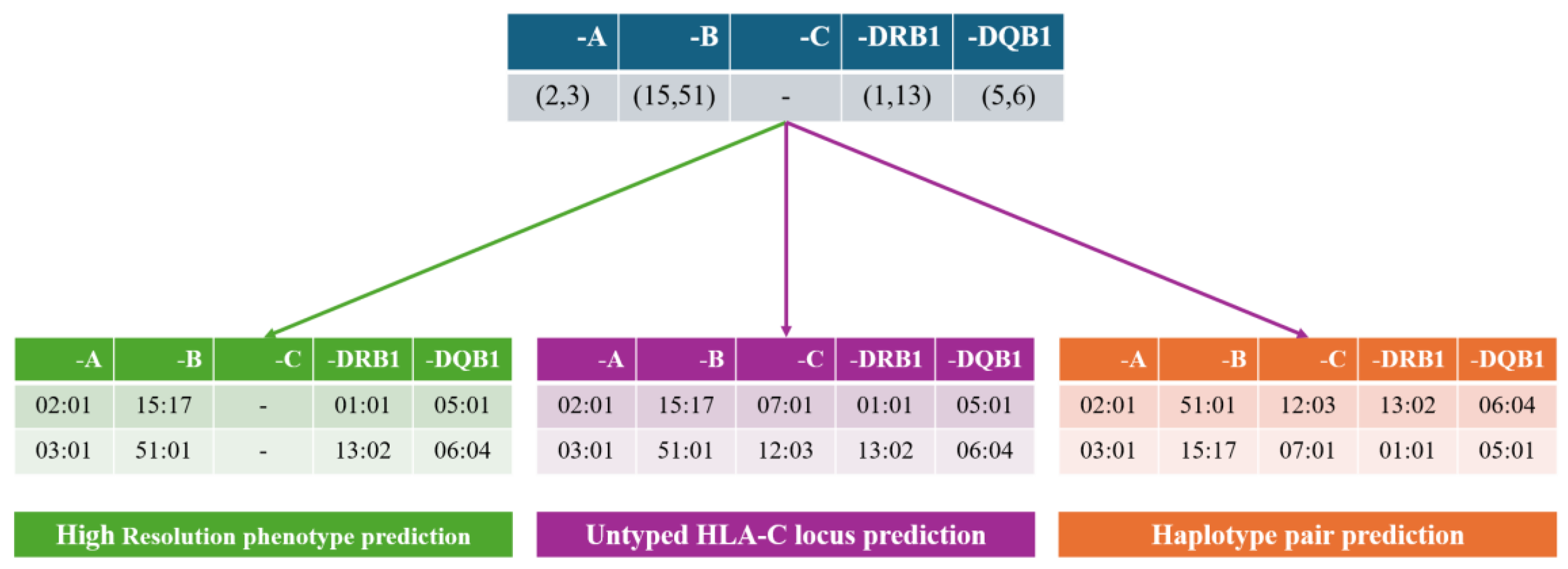 Preprints 222573 g003