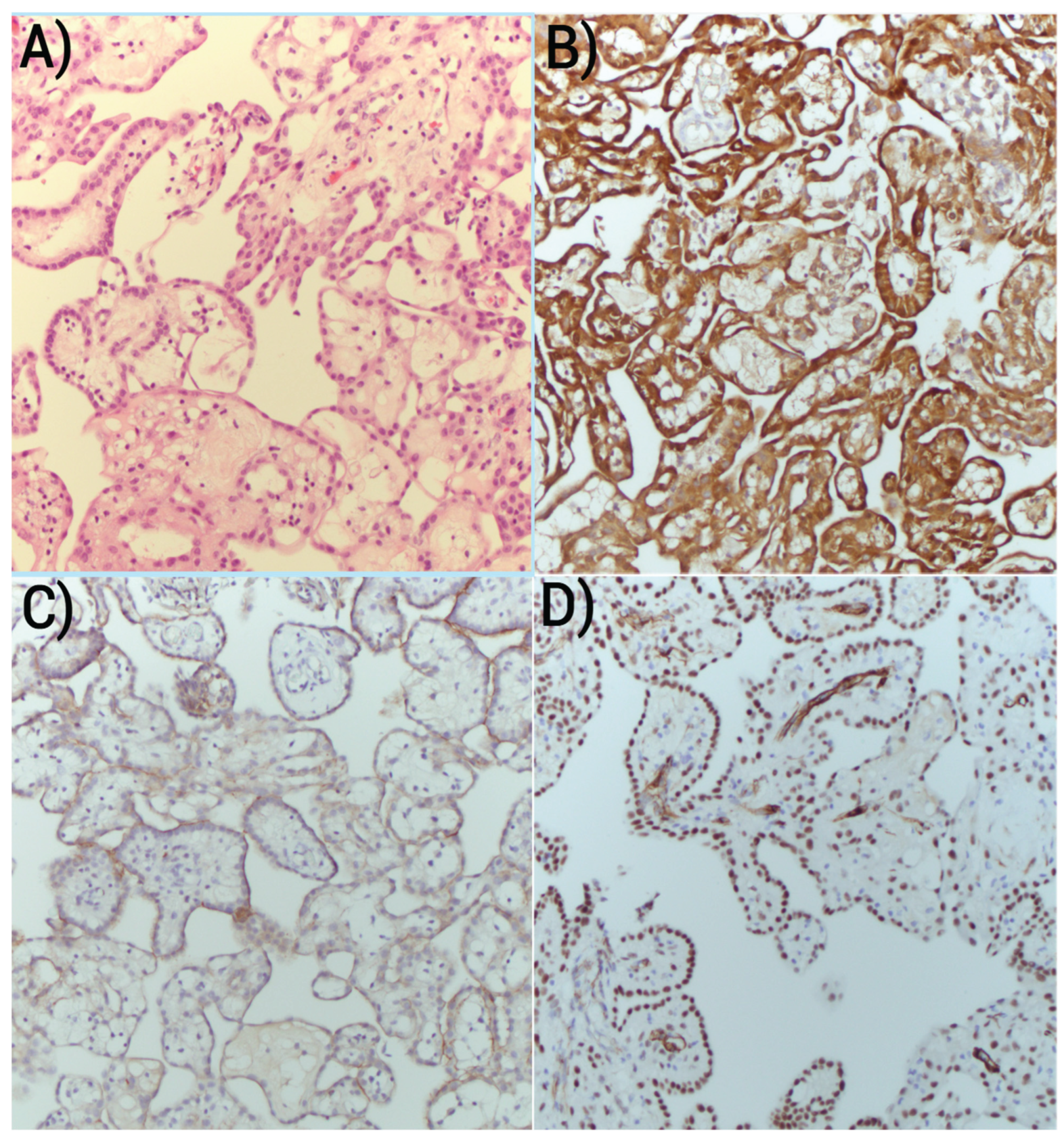 Preprints 215625 g003