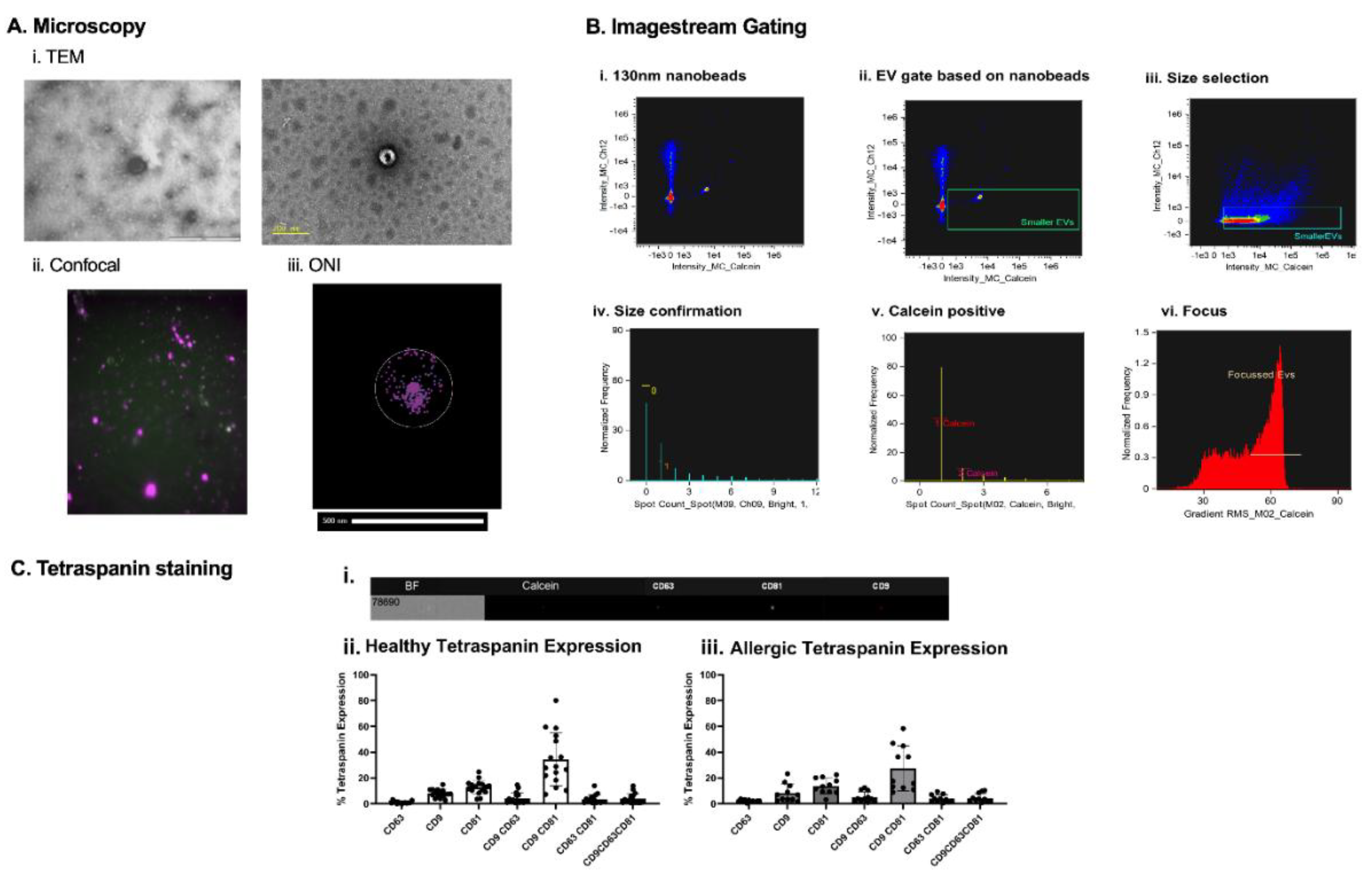 Preprints 189476 g002