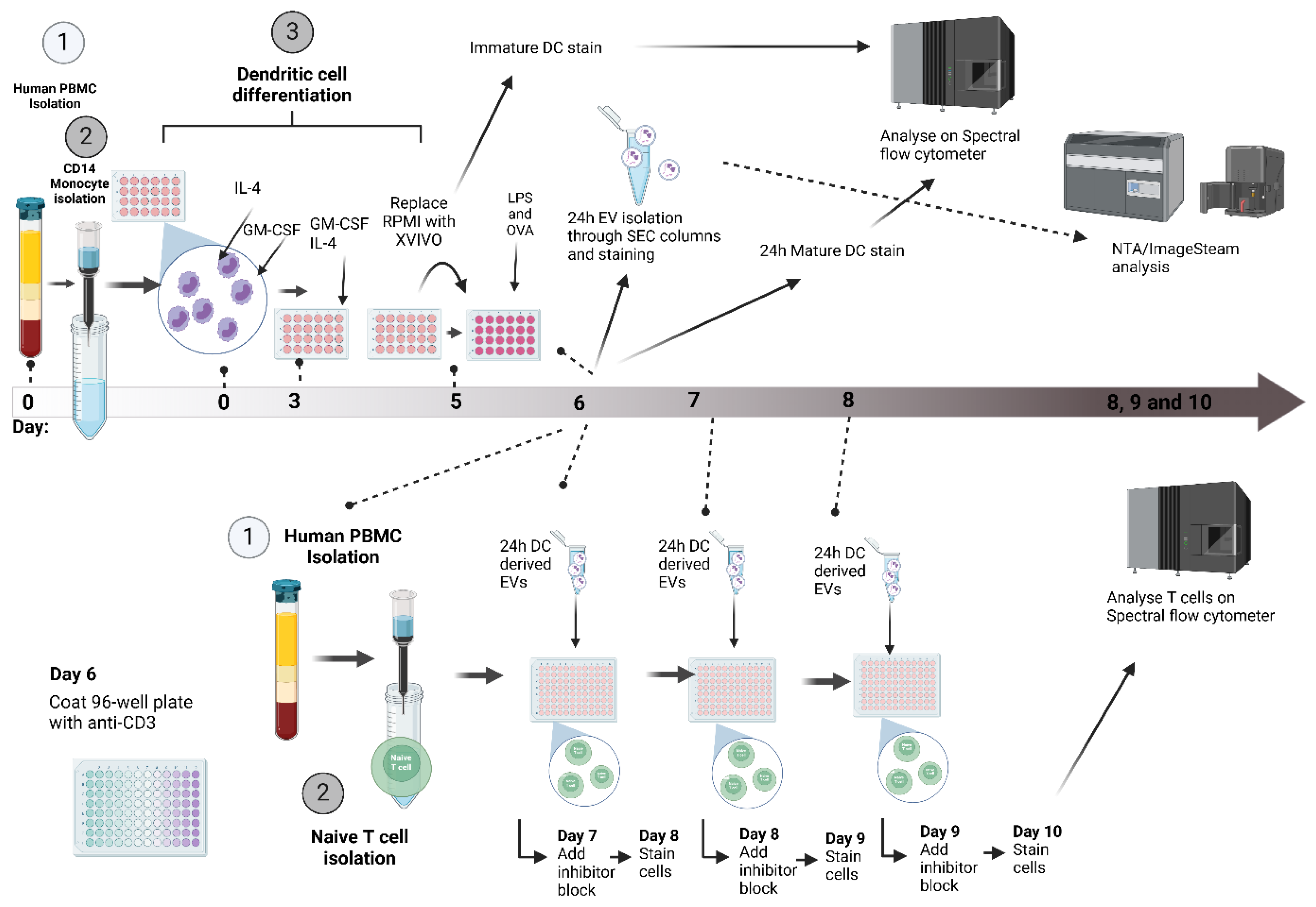 Preprints 189476 g007