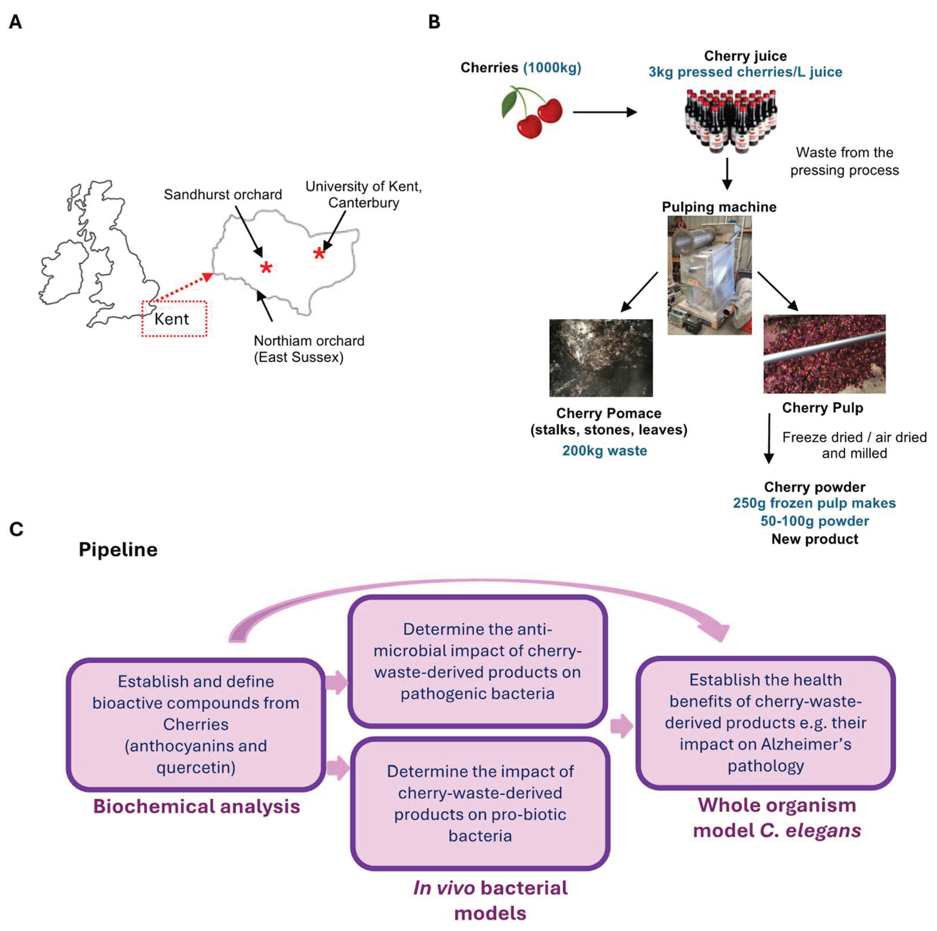 Preprints 160790 g001