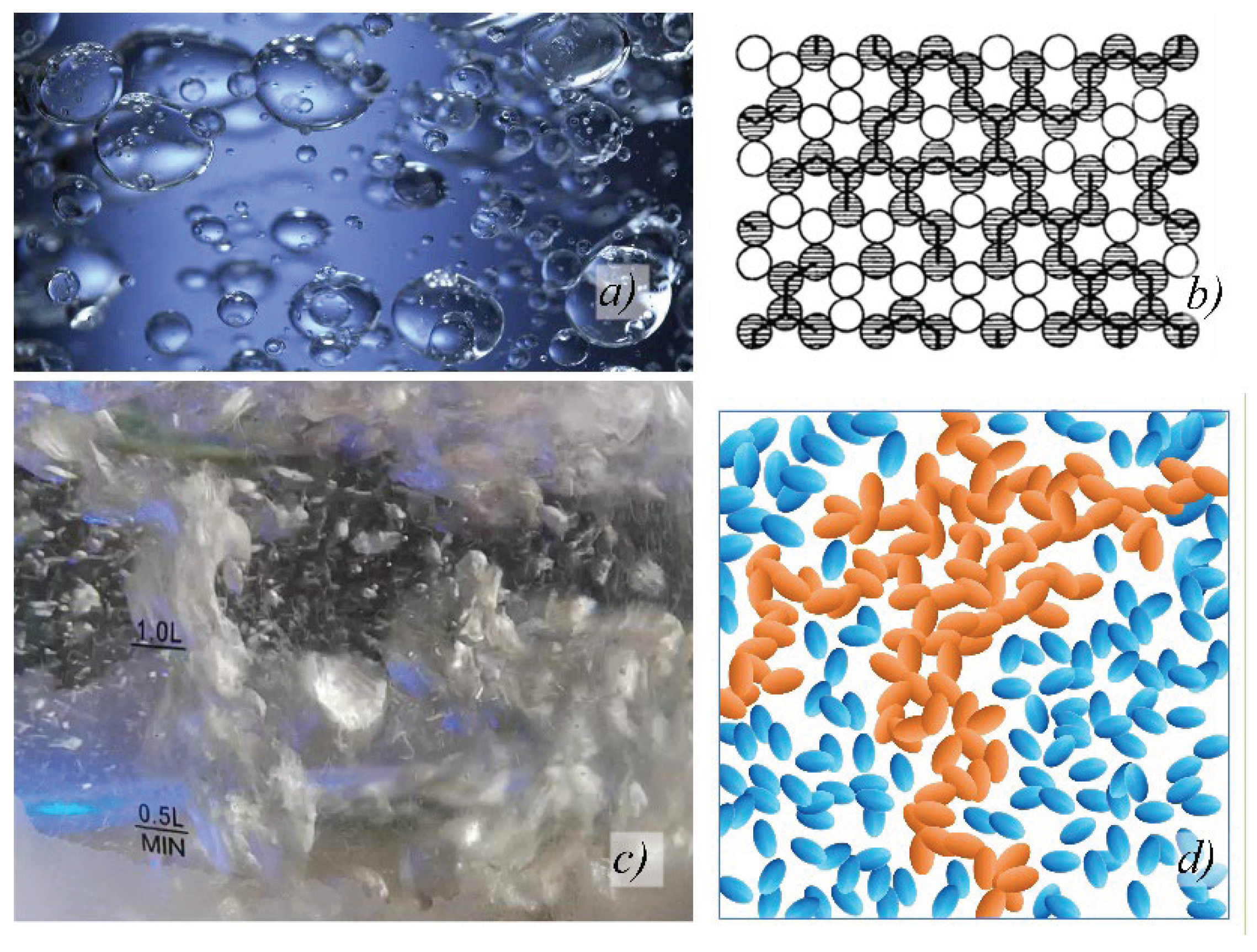 Preprints 189419 g001