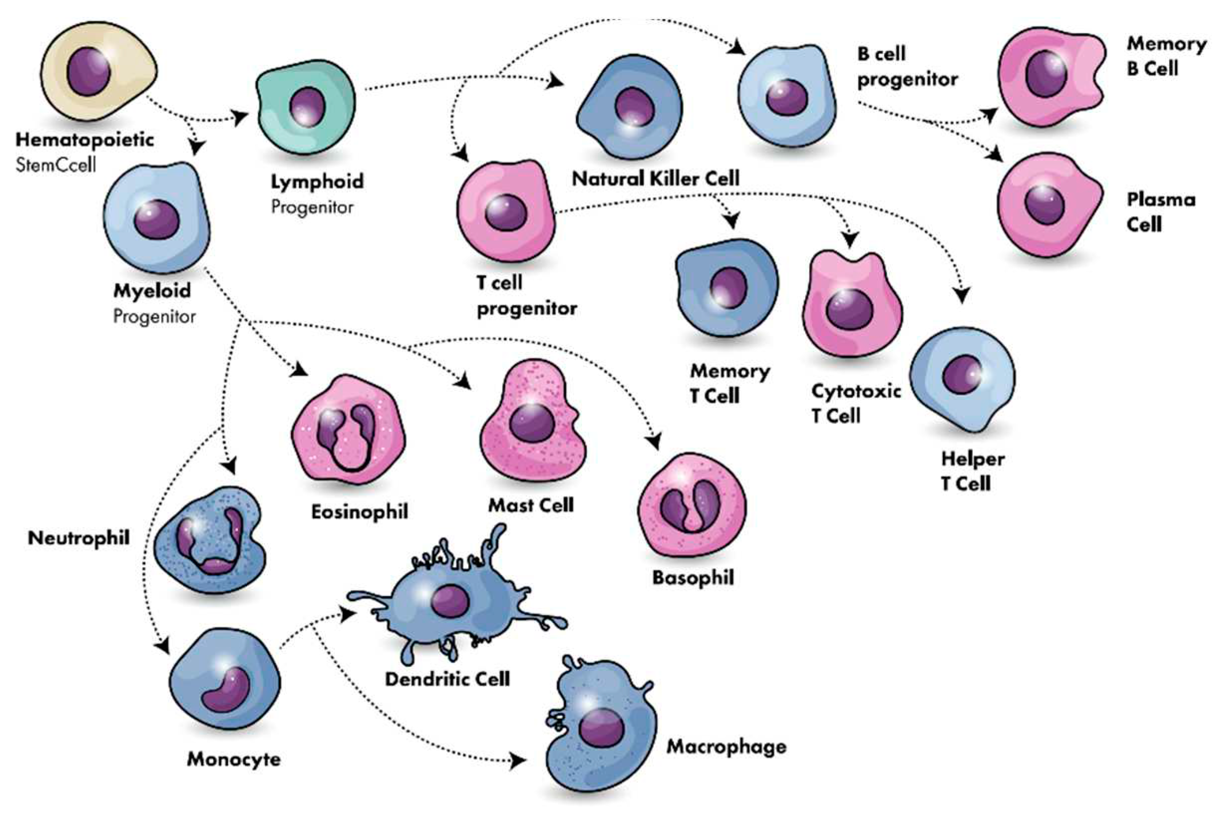 Preprints 89156 g001