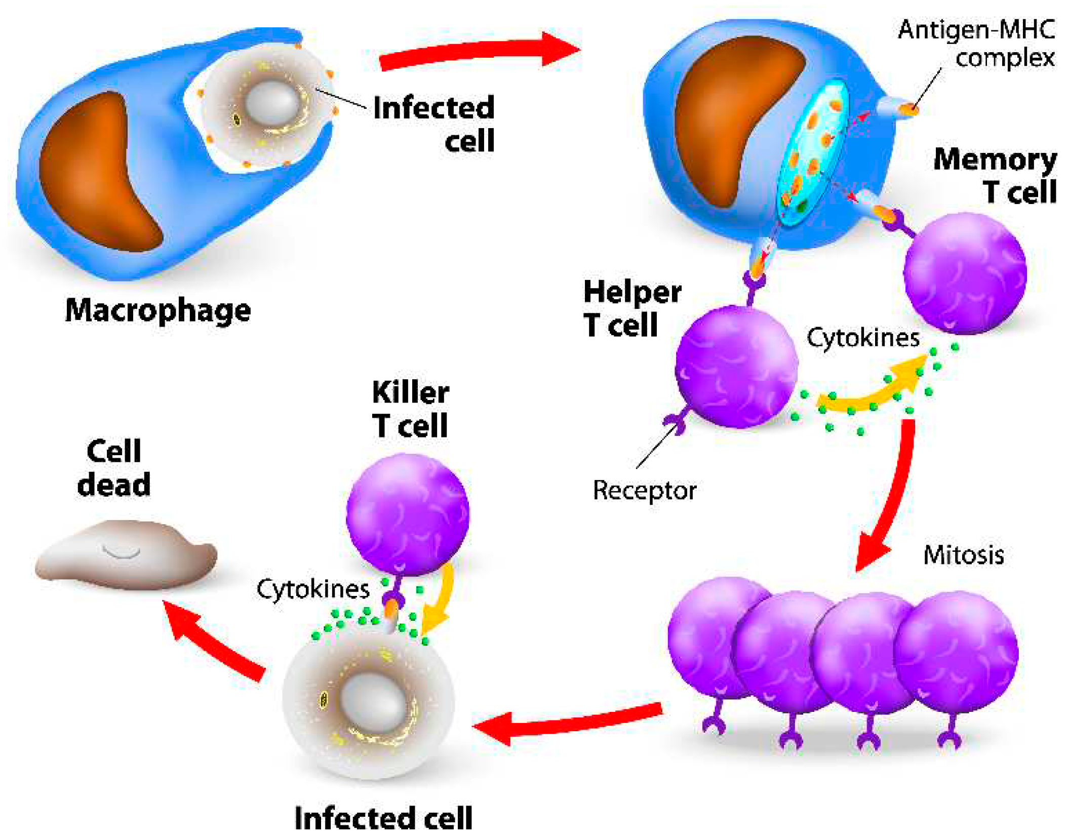 Preprints 89156 g002