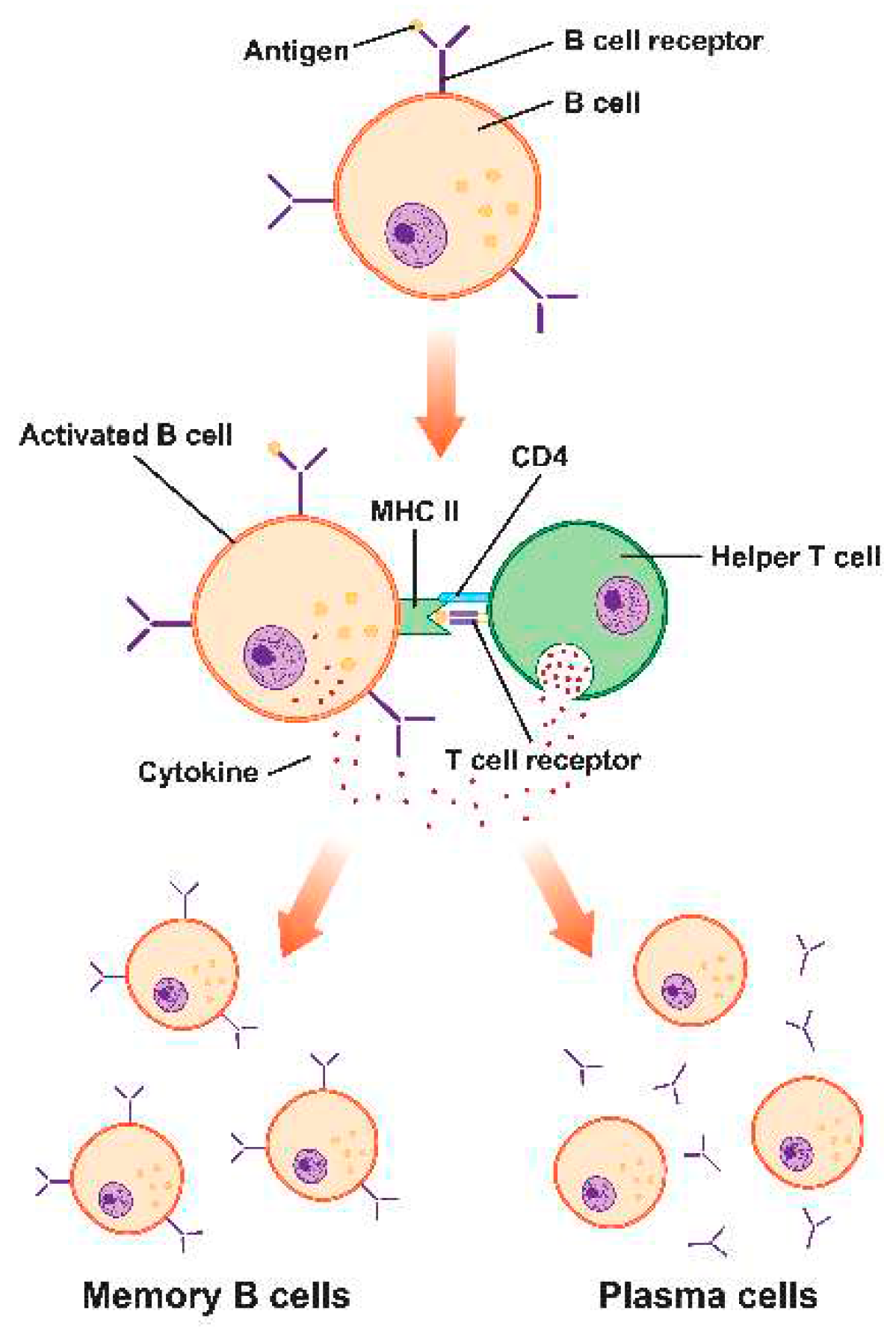 Preprints 89156 g003