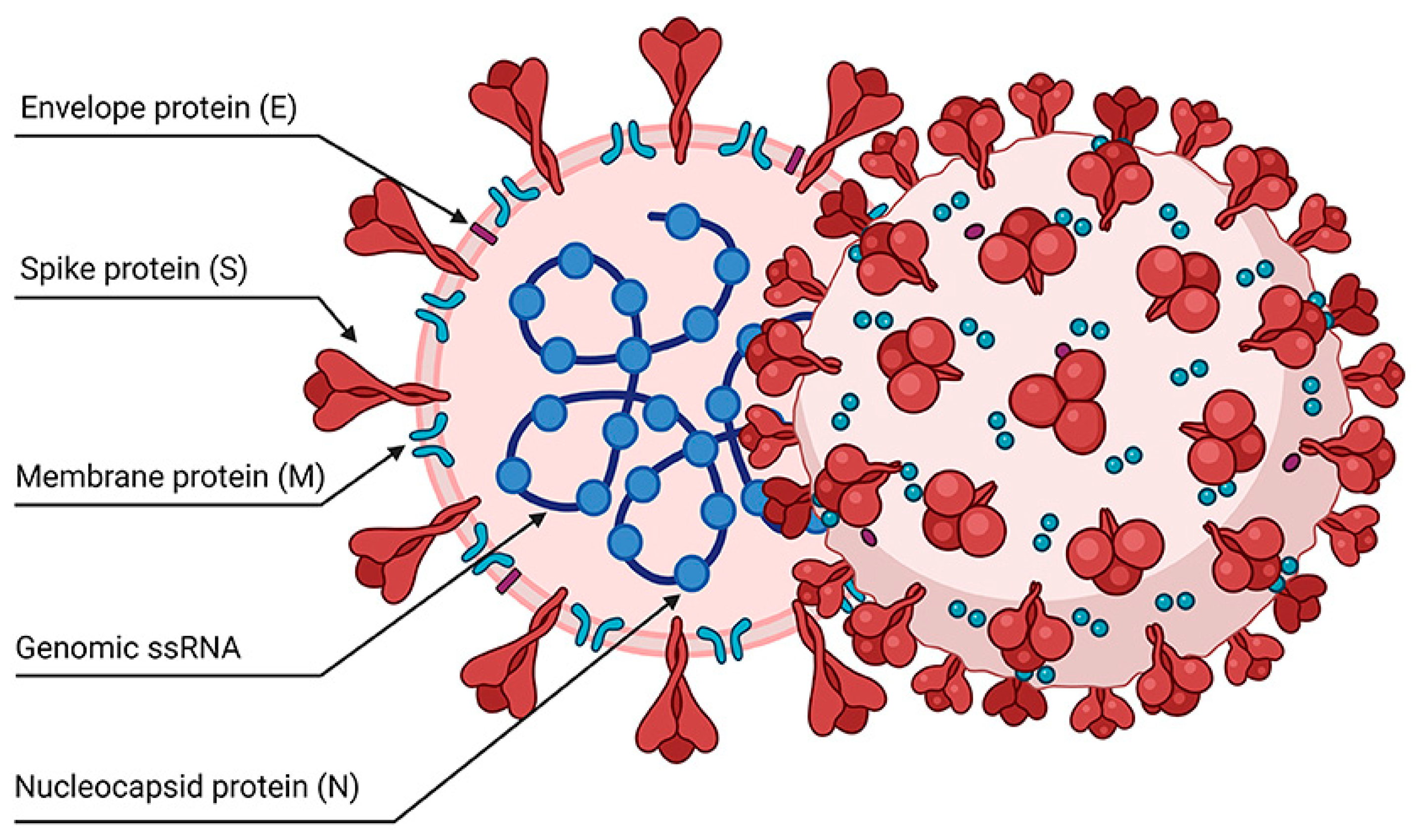 Preprints 89156 g005