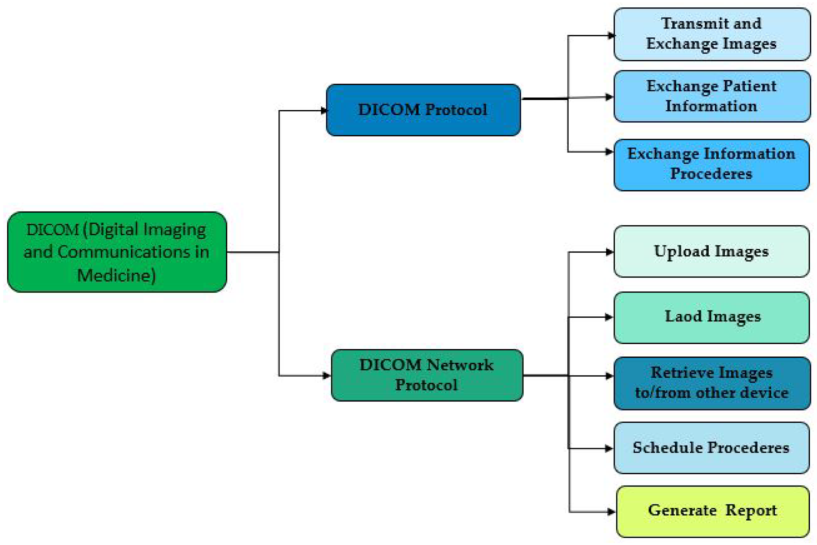 Preprints 71035 g003