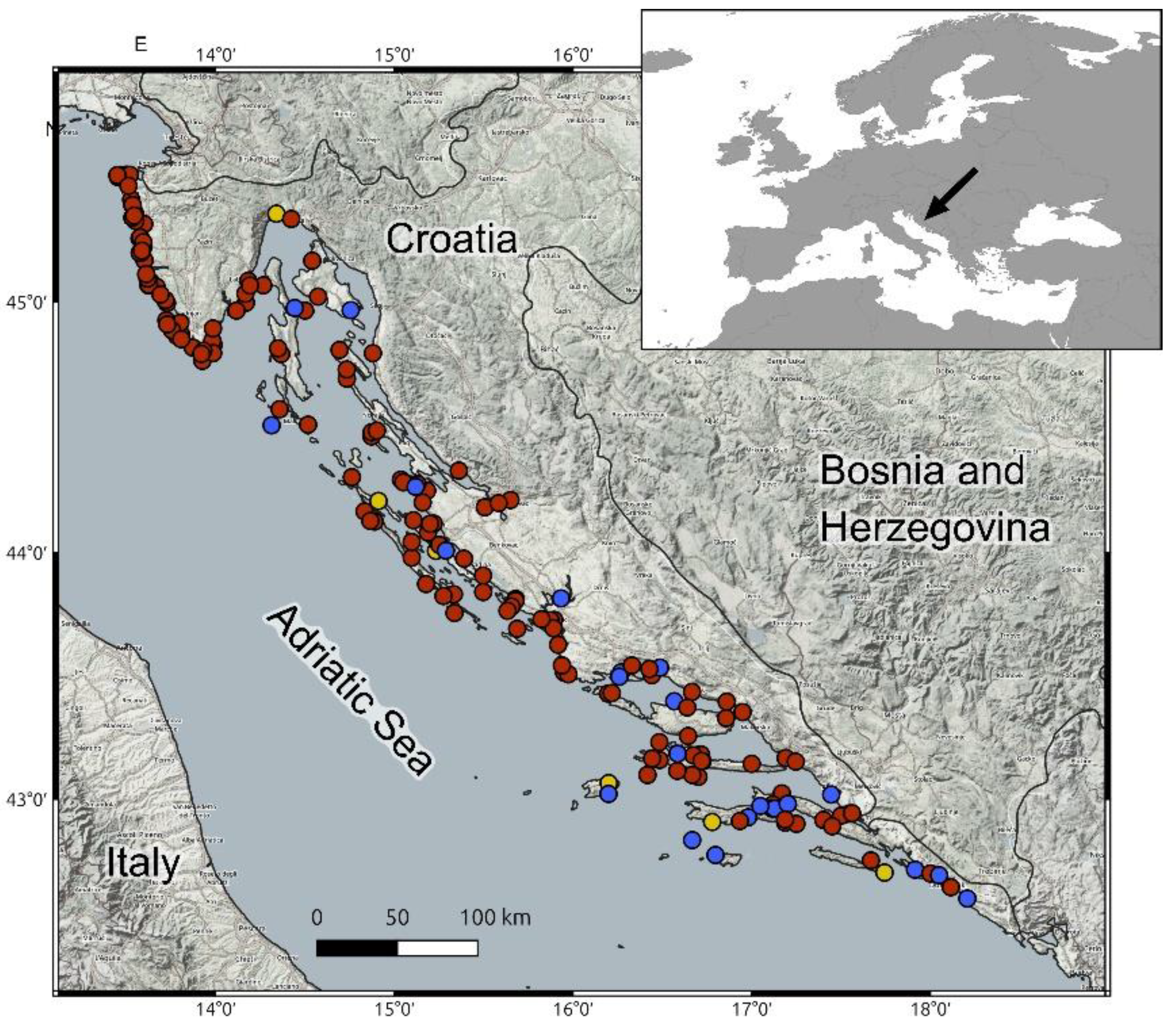 Preprints 157546 g001