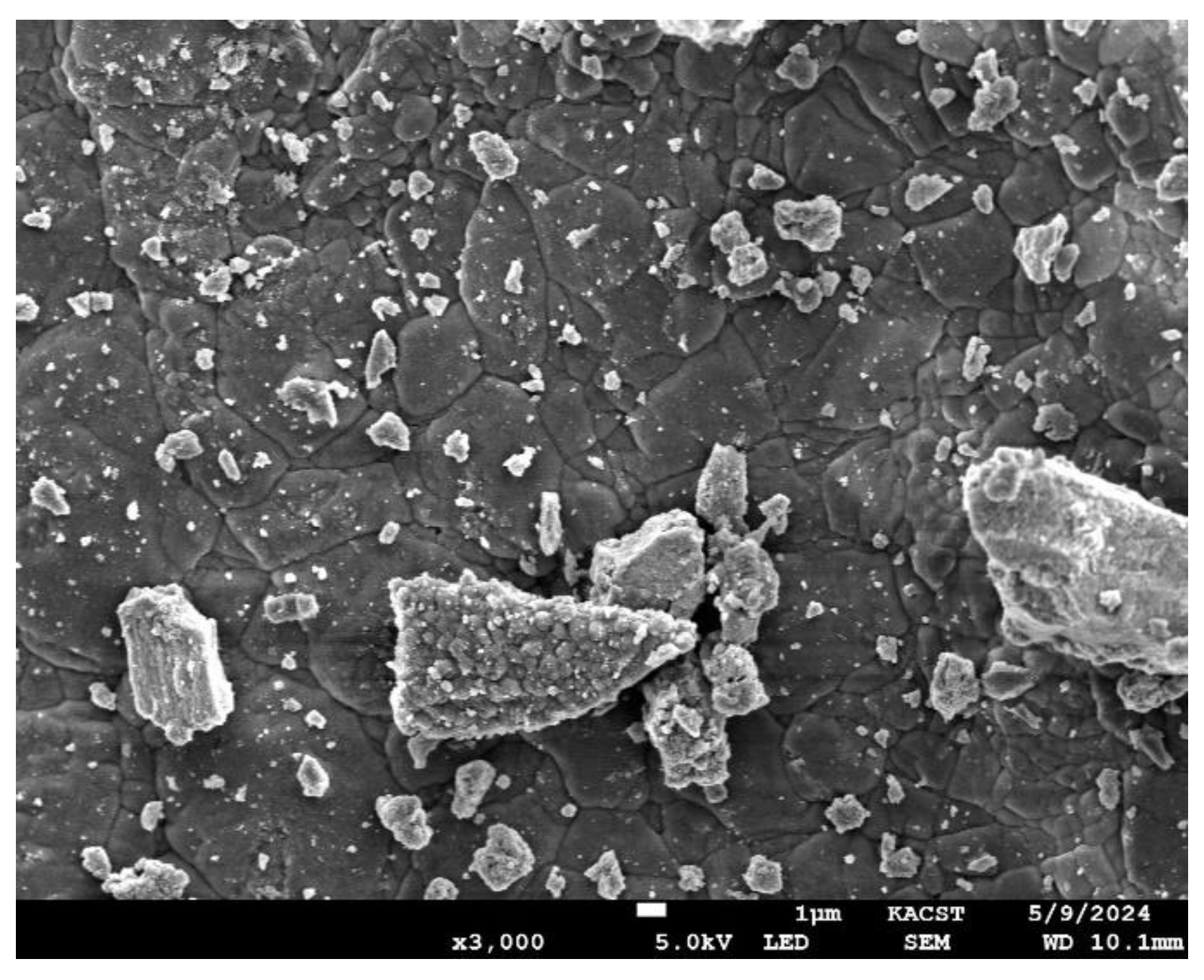 Preprints 175895 g003