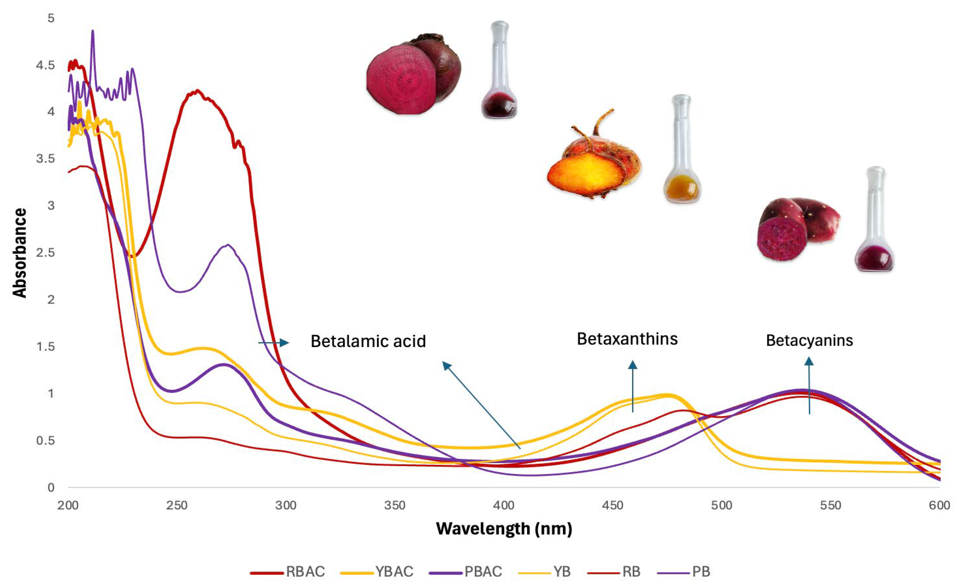 Preprints 142600 g001