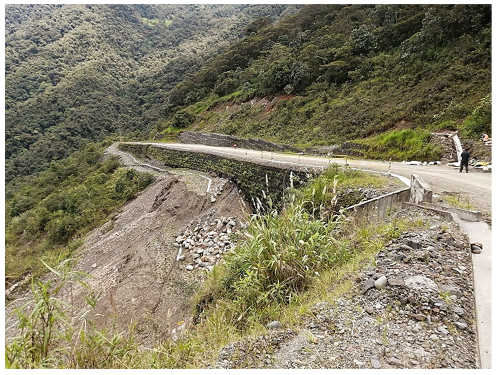 Preprints 67073 g002