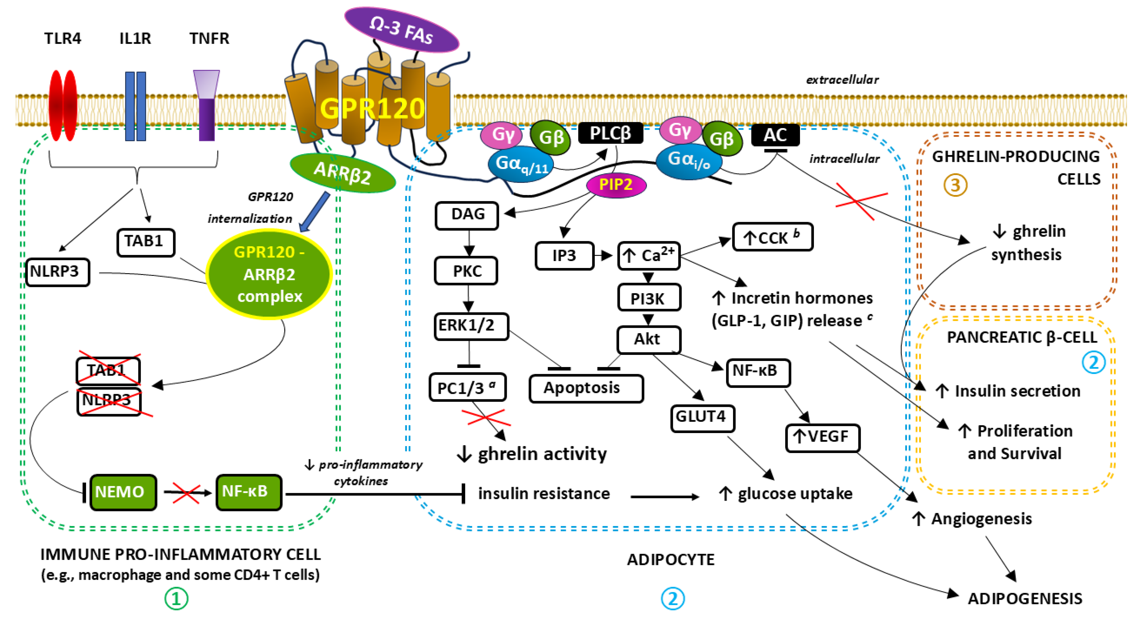 Preprints 149610 g002