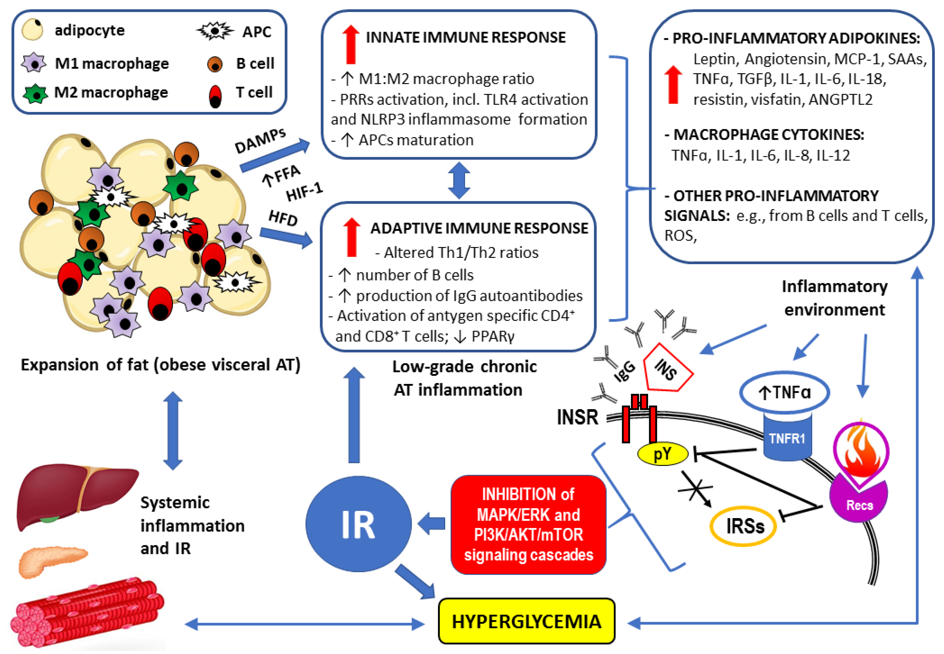 Preprints 149610 g003