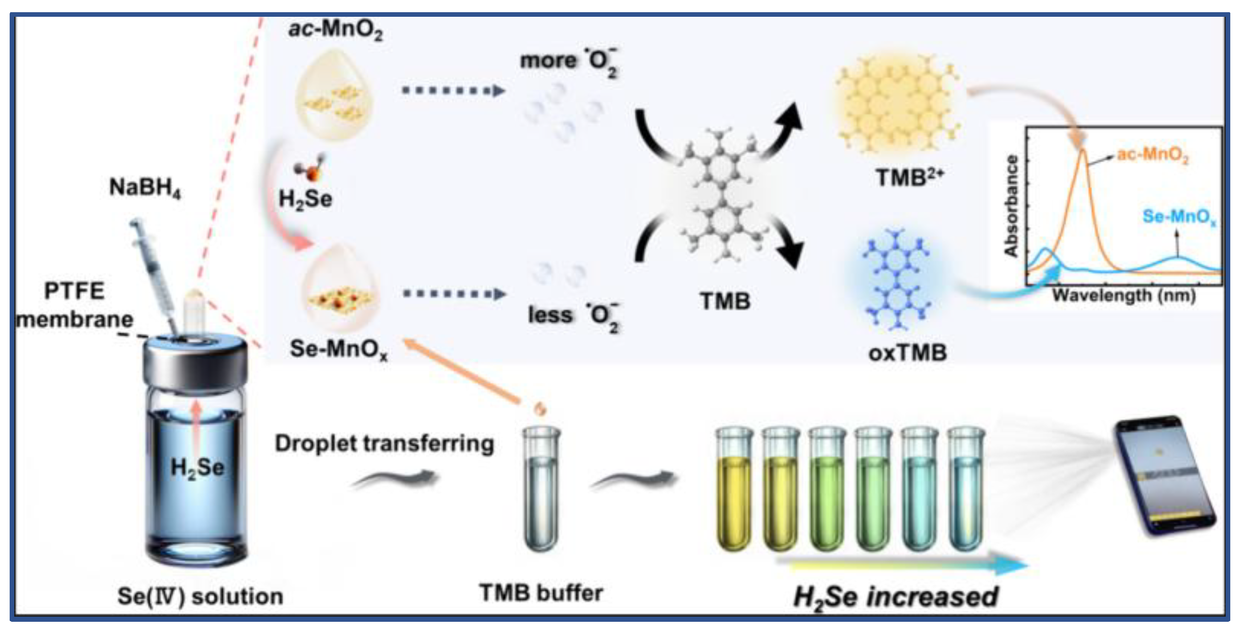 Preprints 193303 g001