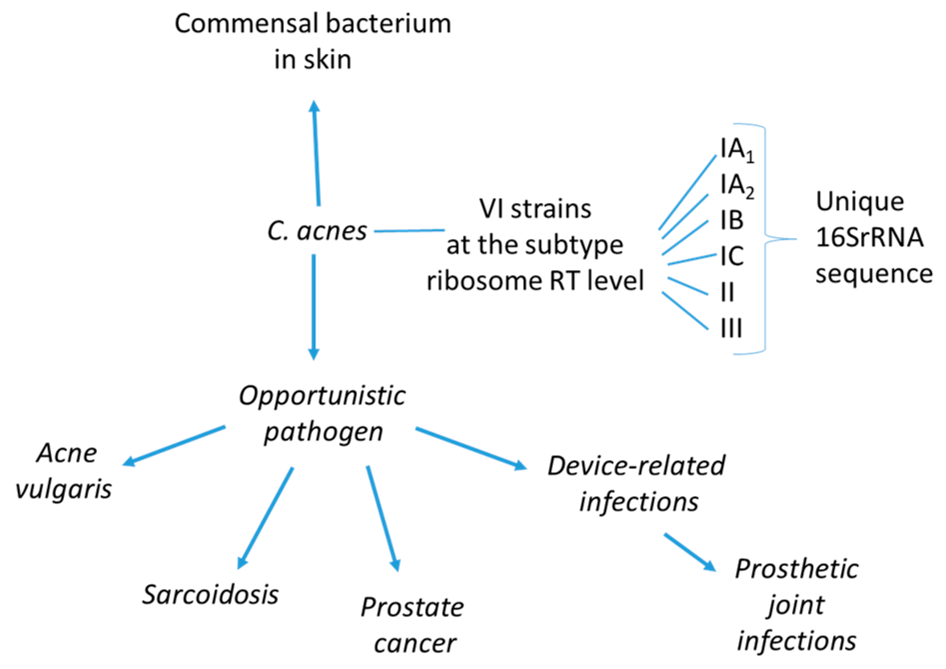 Preprints 165106 g001