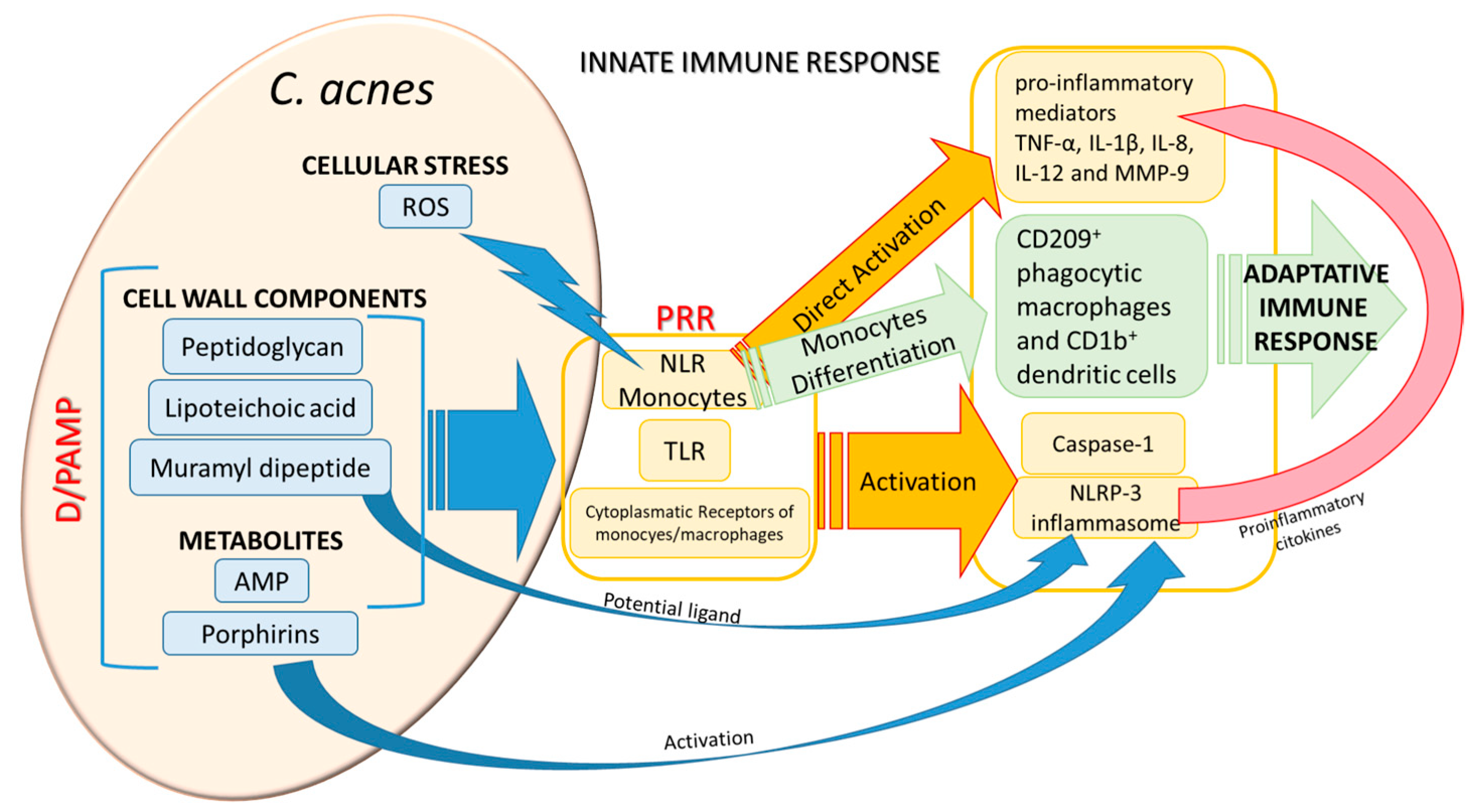 Preprints 165106 g002