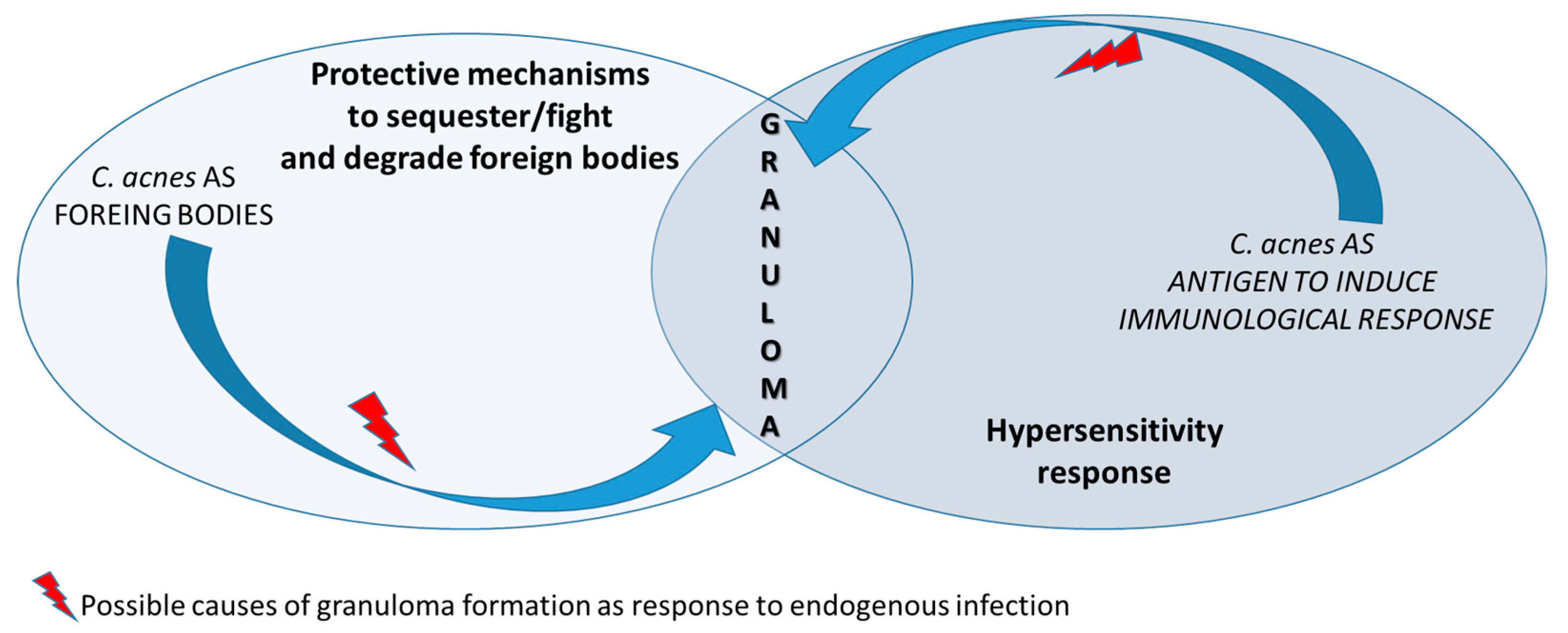 Preprints 165106 g003