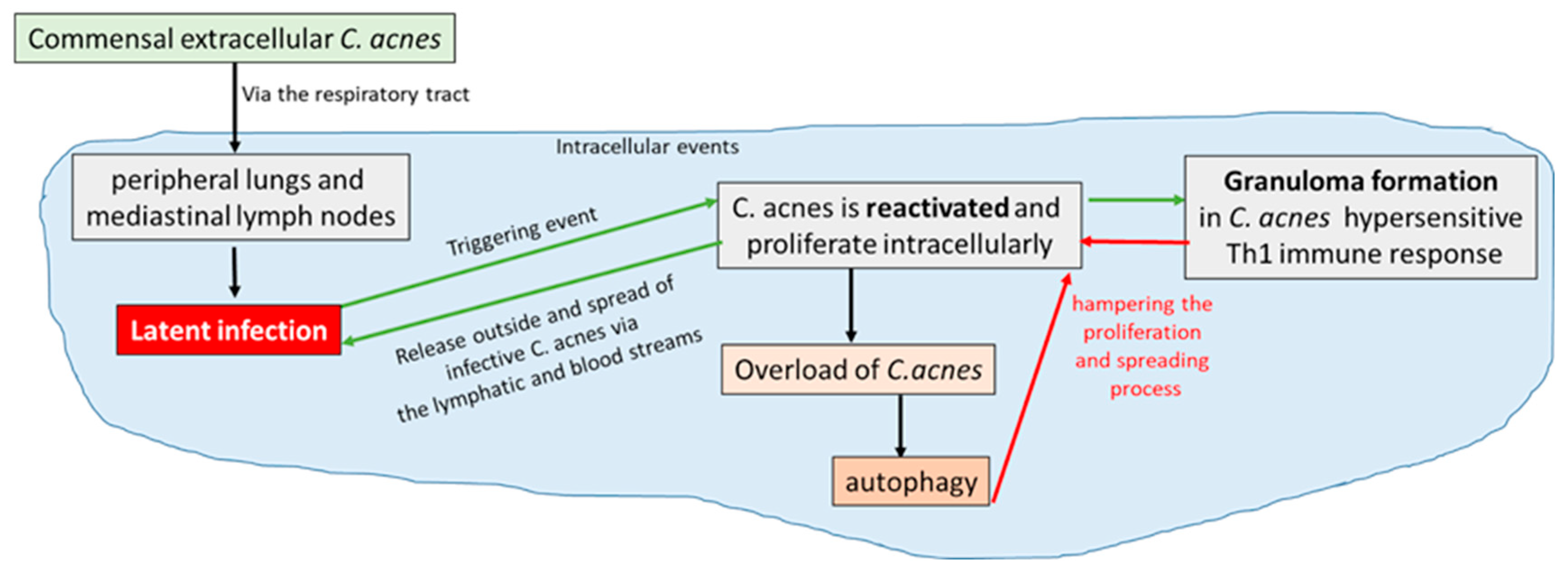 Preprints 165106 g004