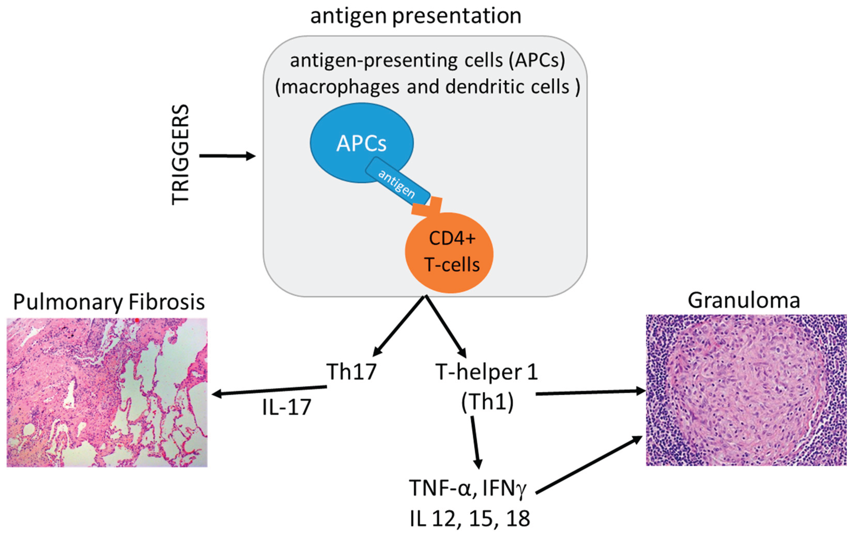 Preprints 165106 g005