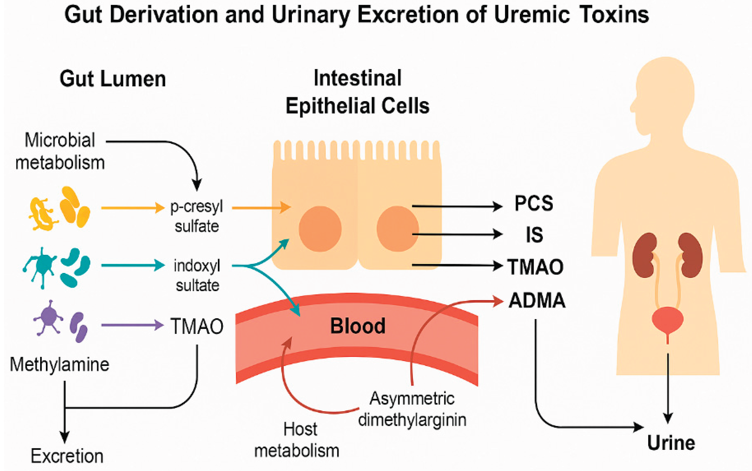 Preprints 164194 g001