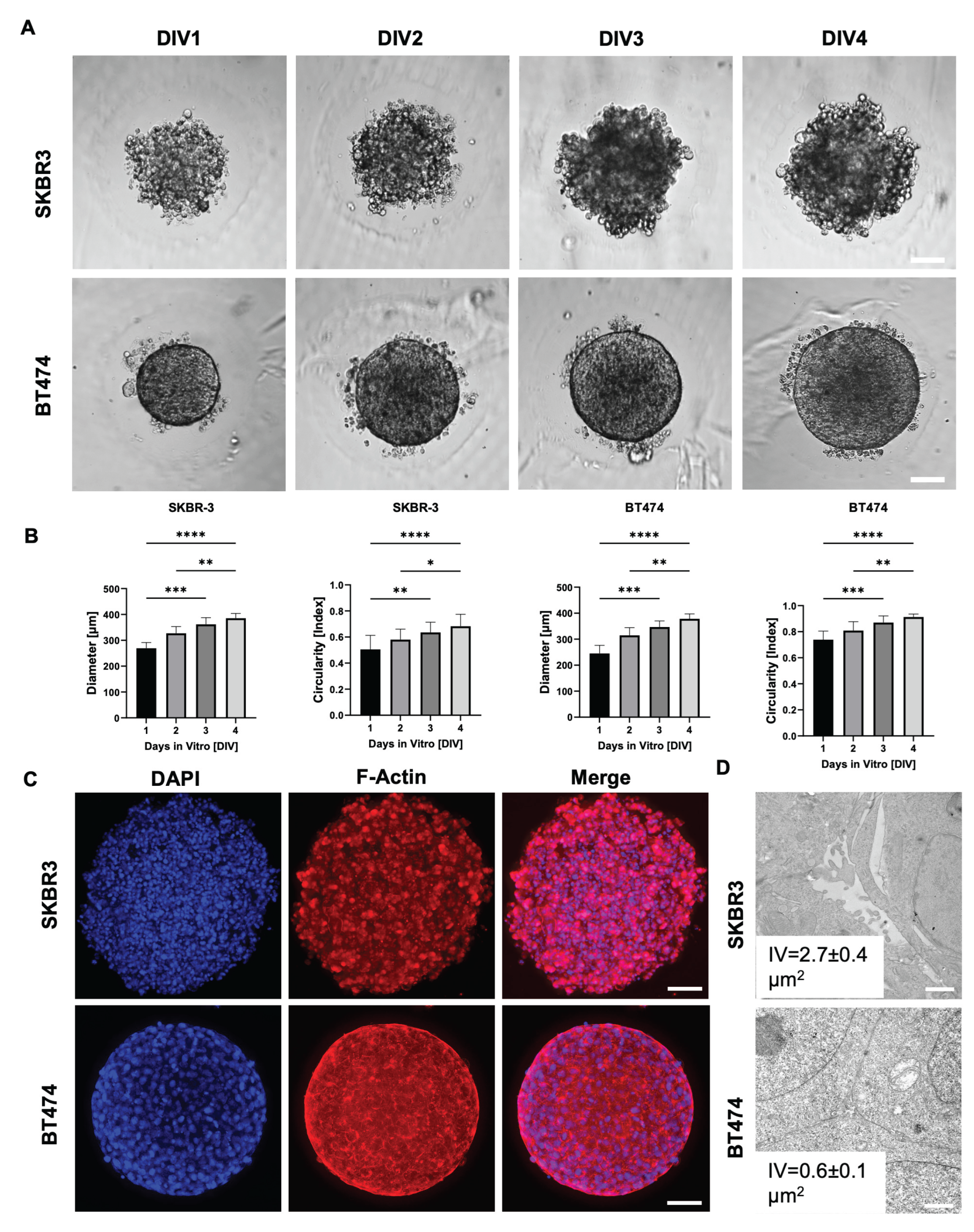 Preprints 180094 g001