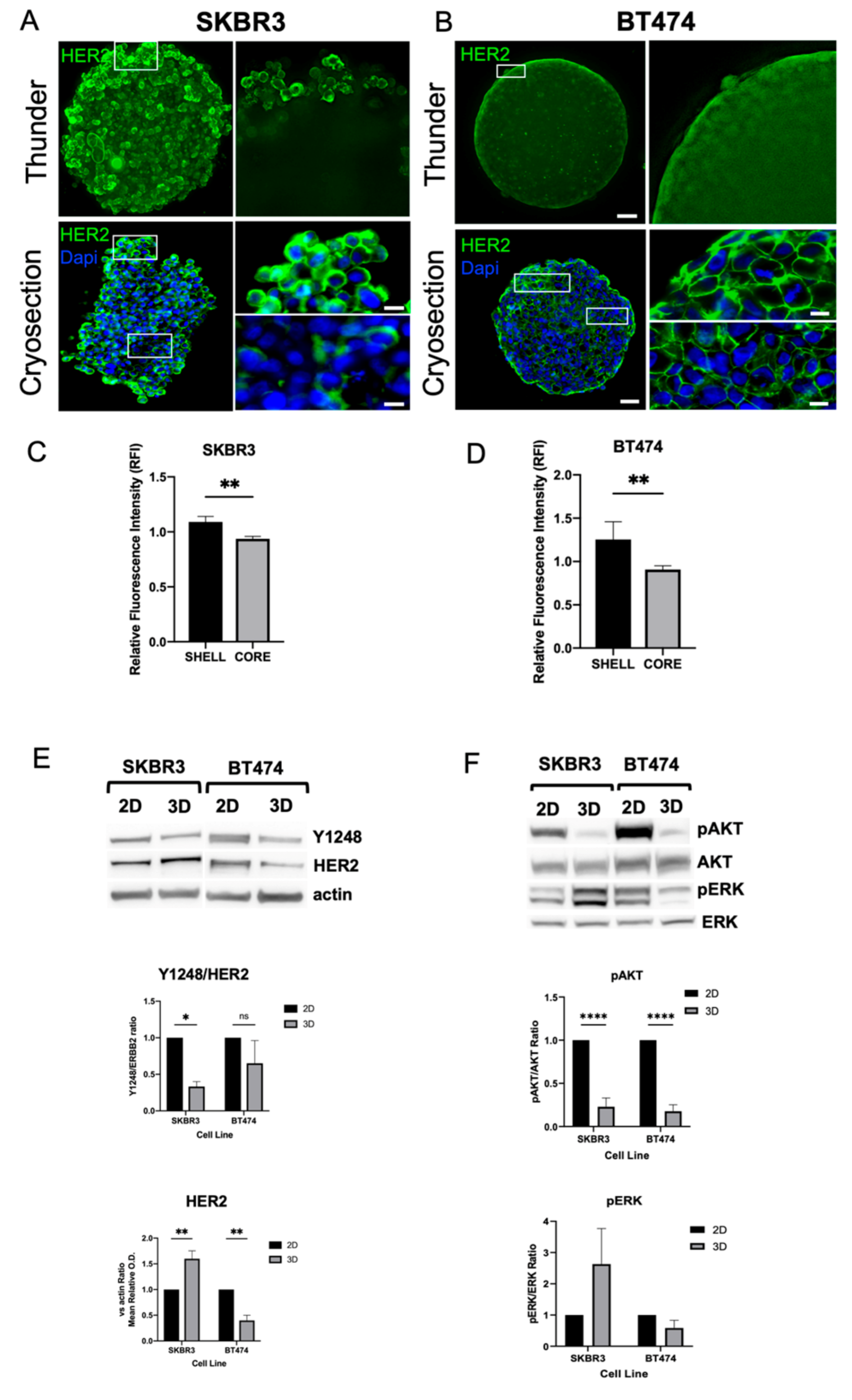 Preprints 180094 g003