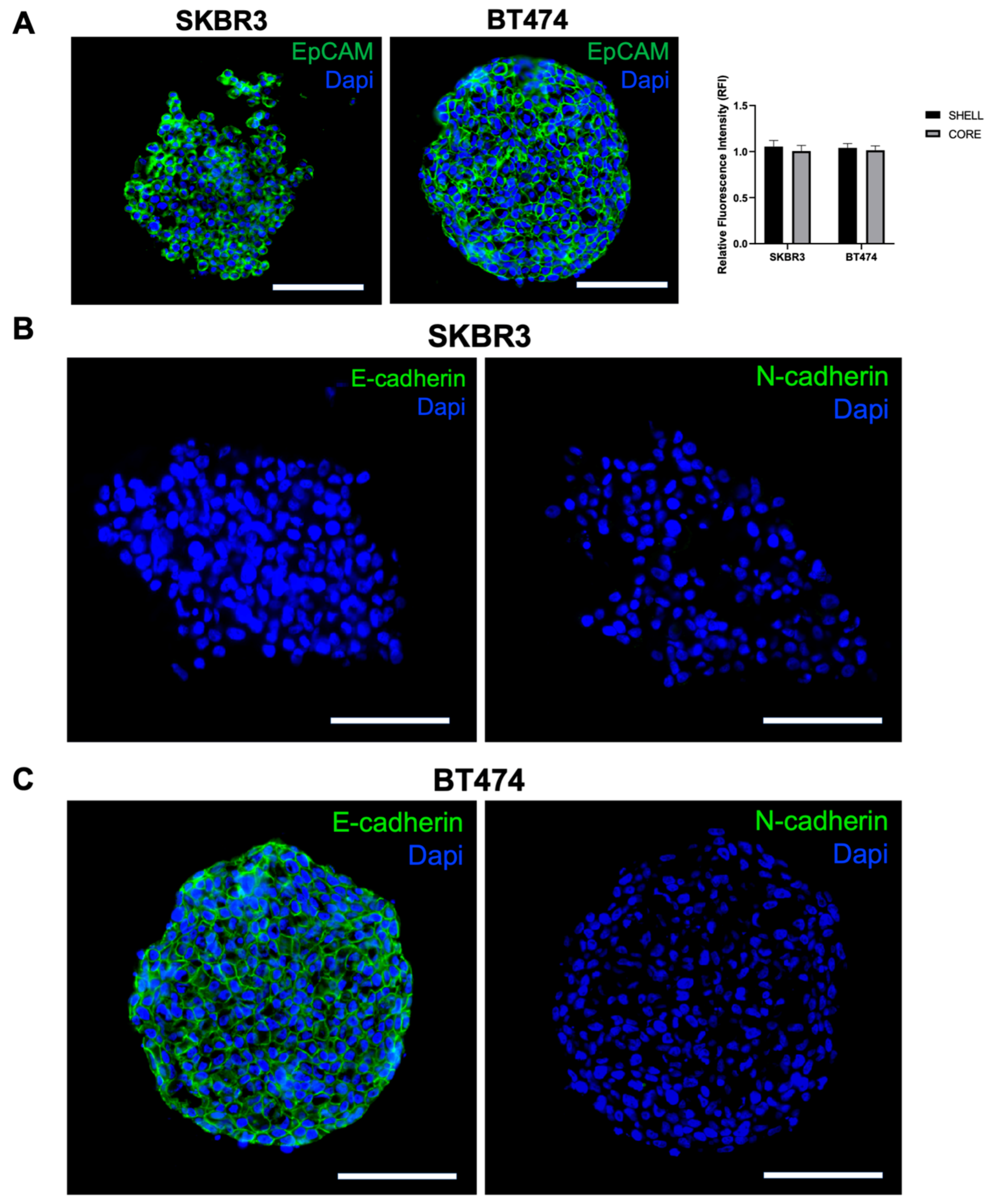 Preprints 180094 g004