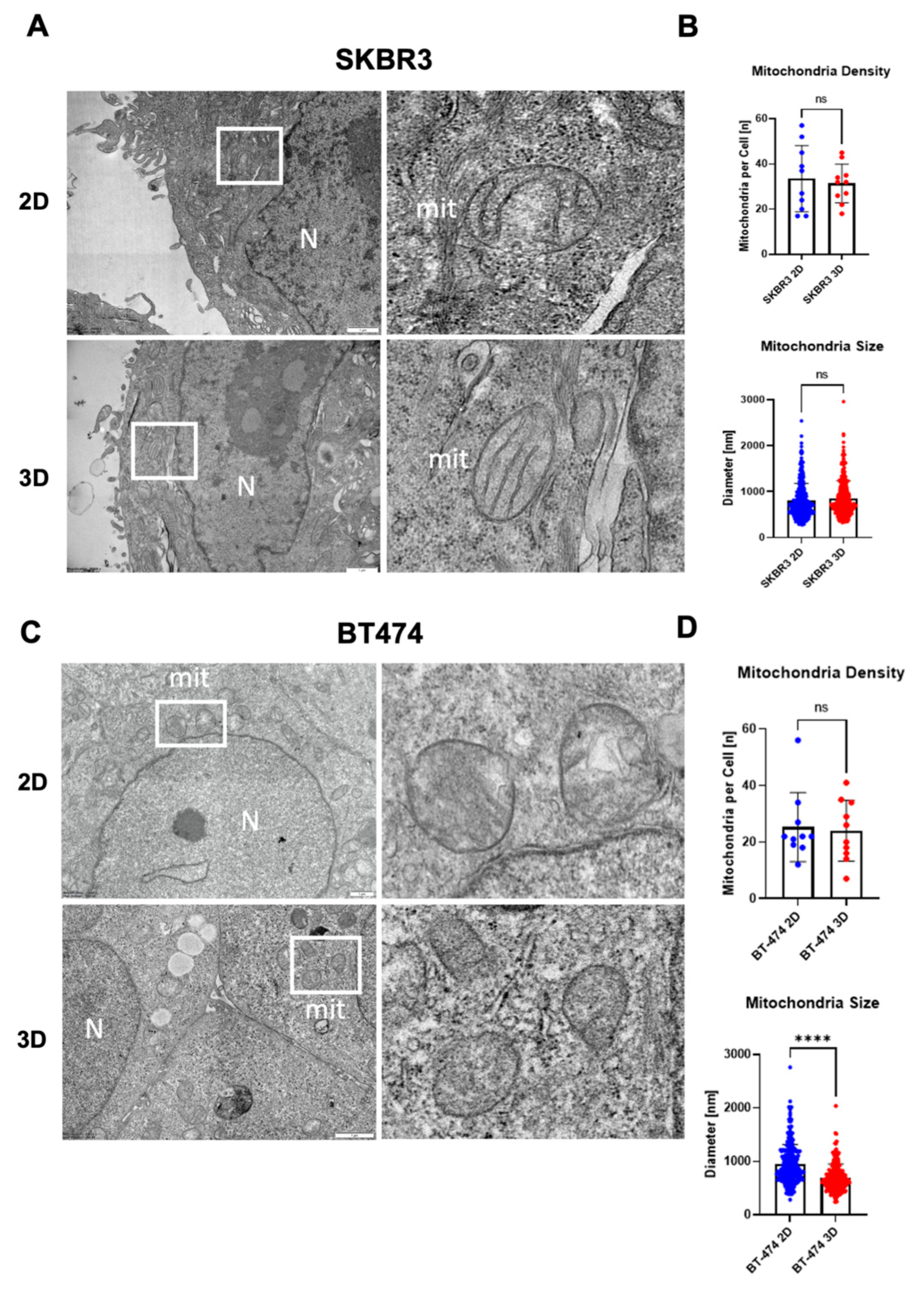 Preprints 180094 g005