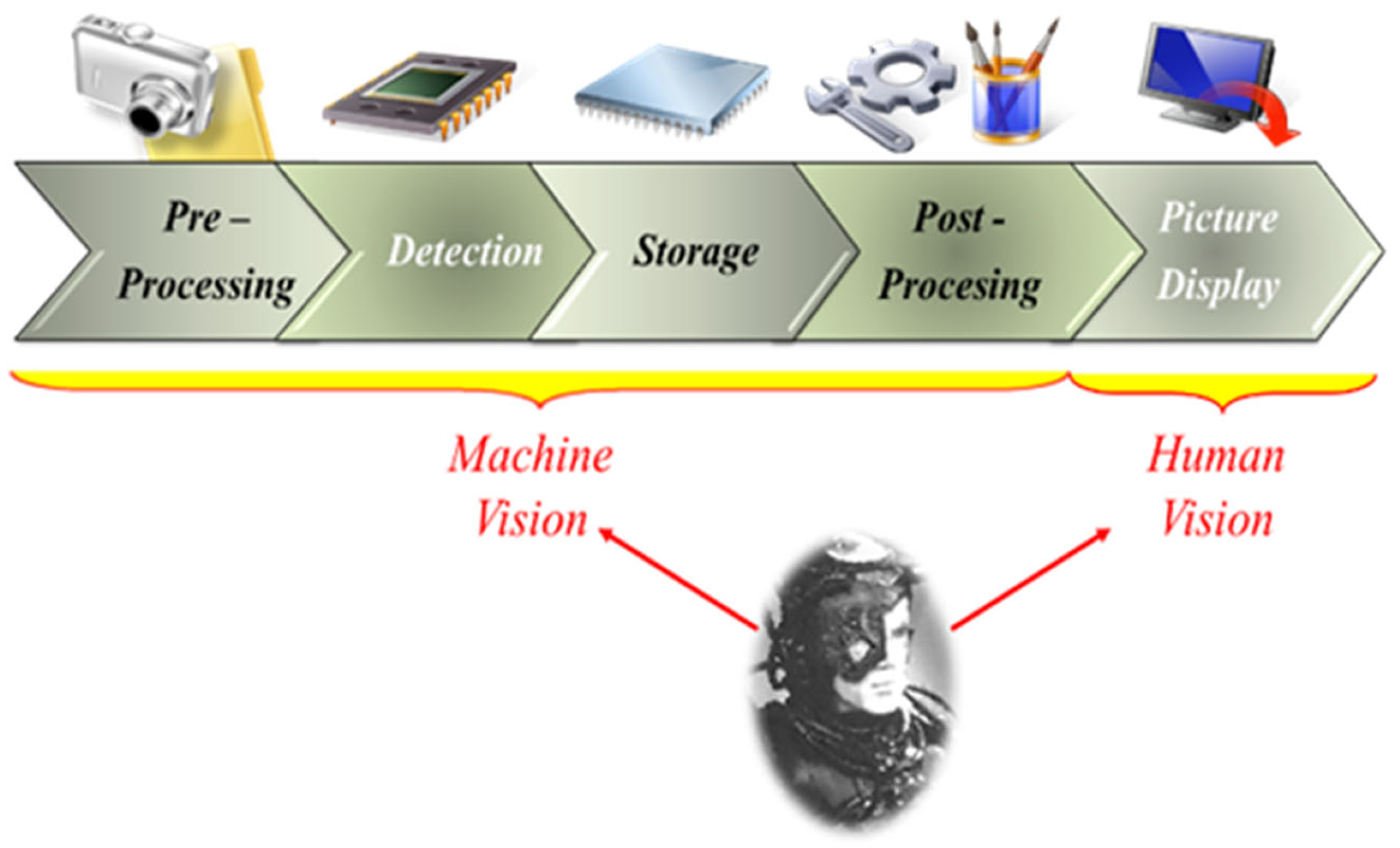 Preprints 173736 g001