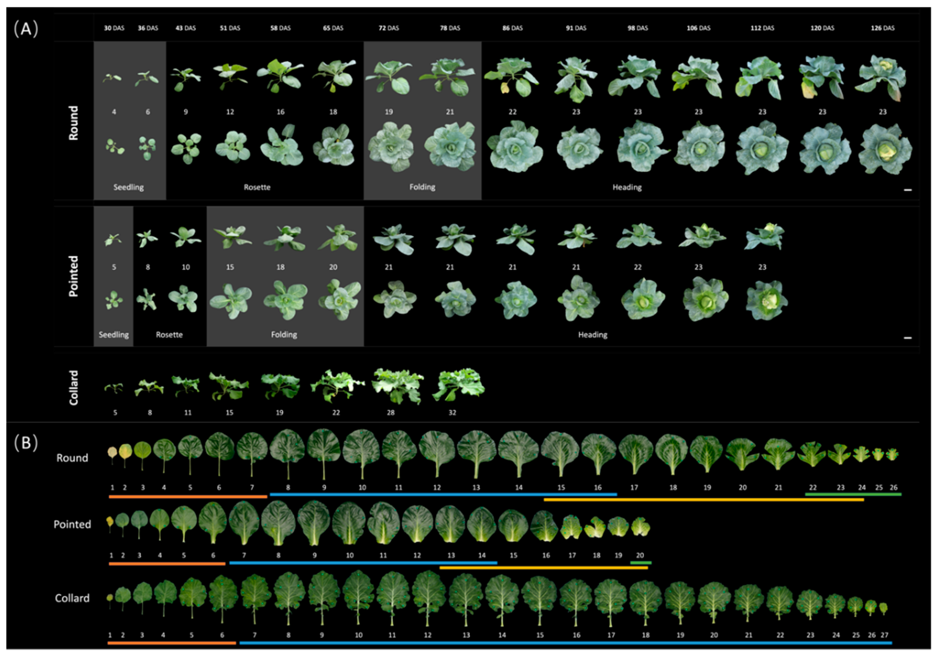 Preprints 99434 g003
