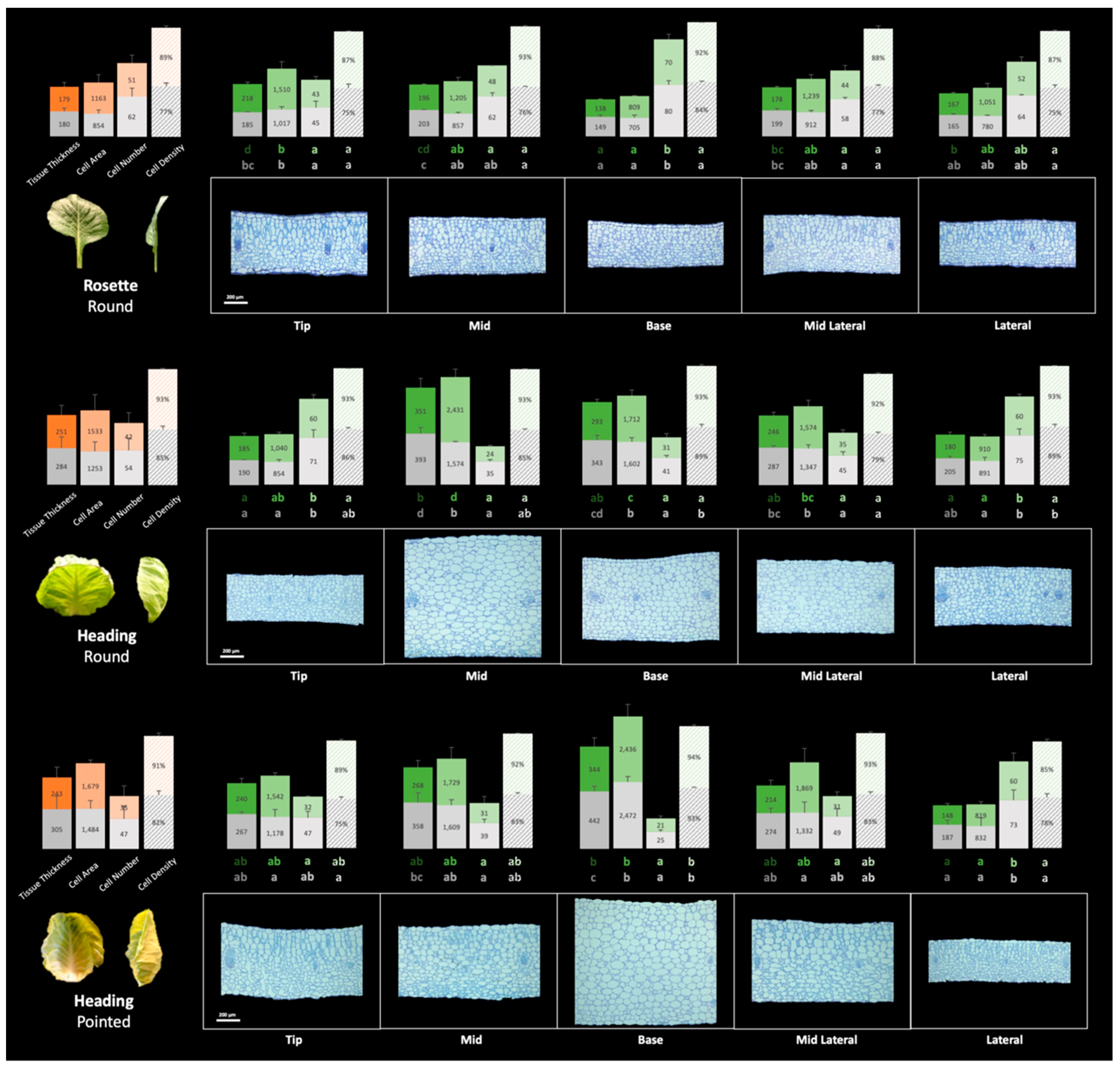 Preprints 99434 g007