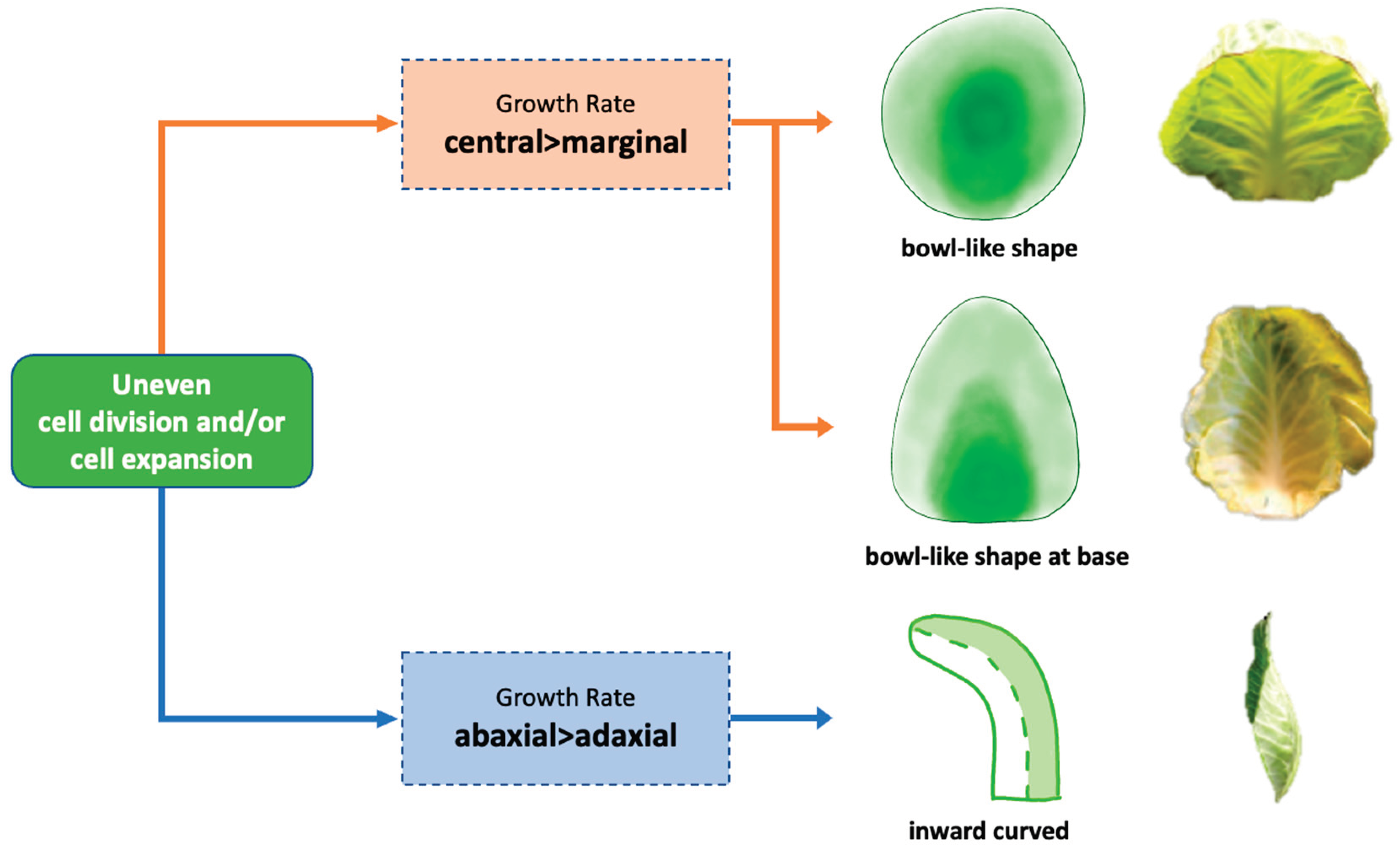Preprints 99434 g009