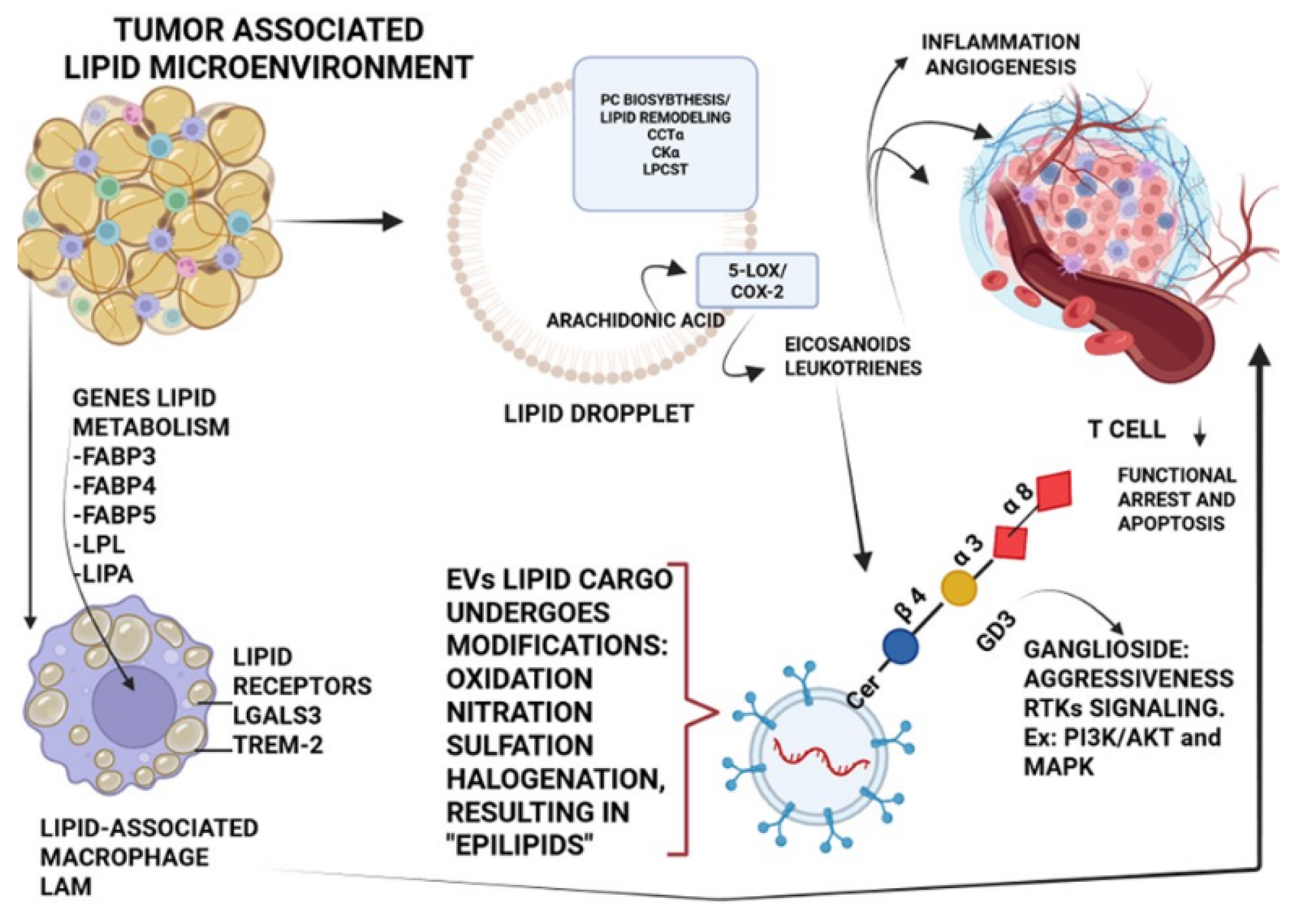Preprints 188639 g001