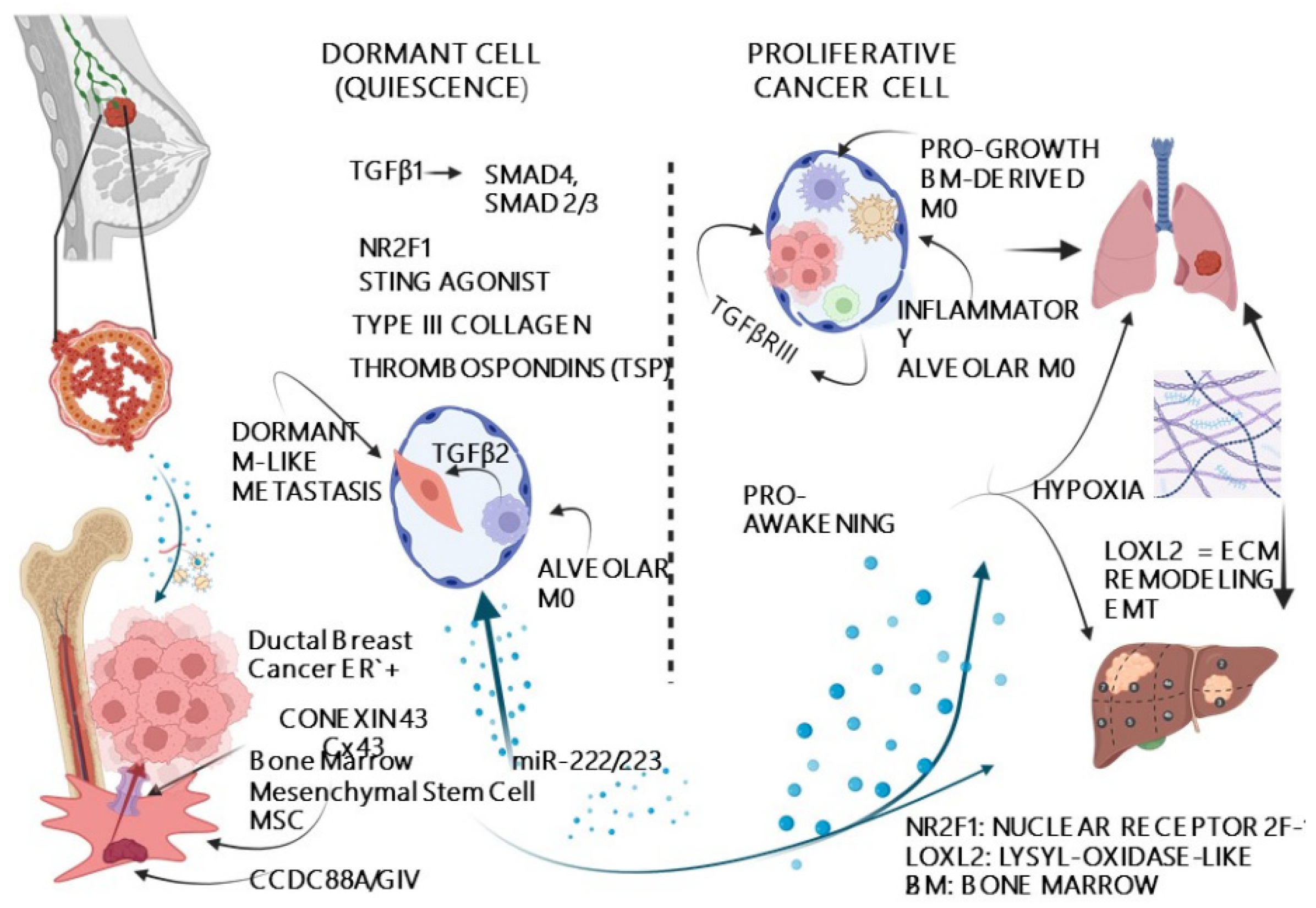Preprints 188639 g002