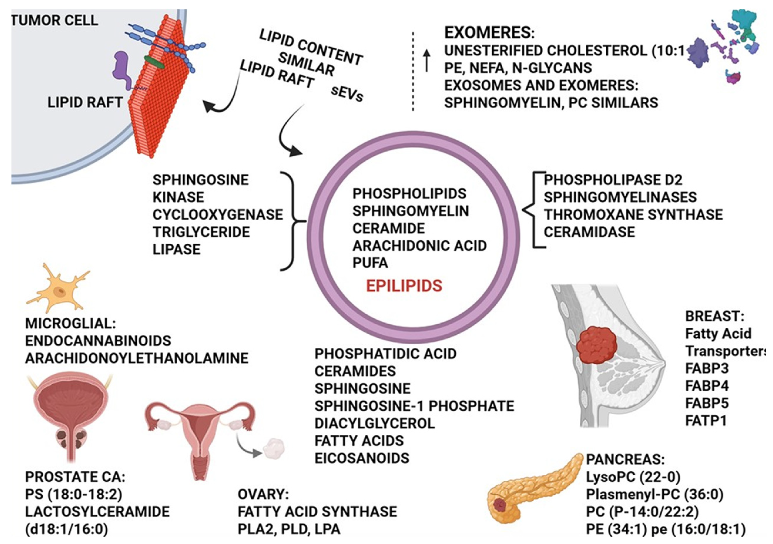 Preprints 188639 g003