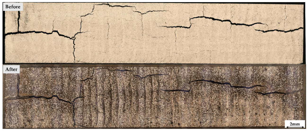 Preprints 209987 g004