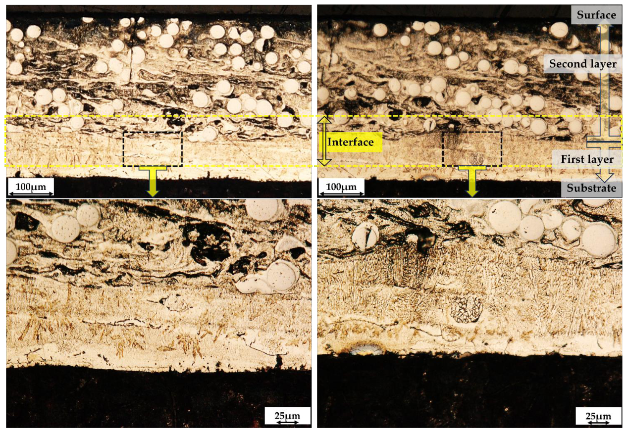 Preprints 209987 g005
