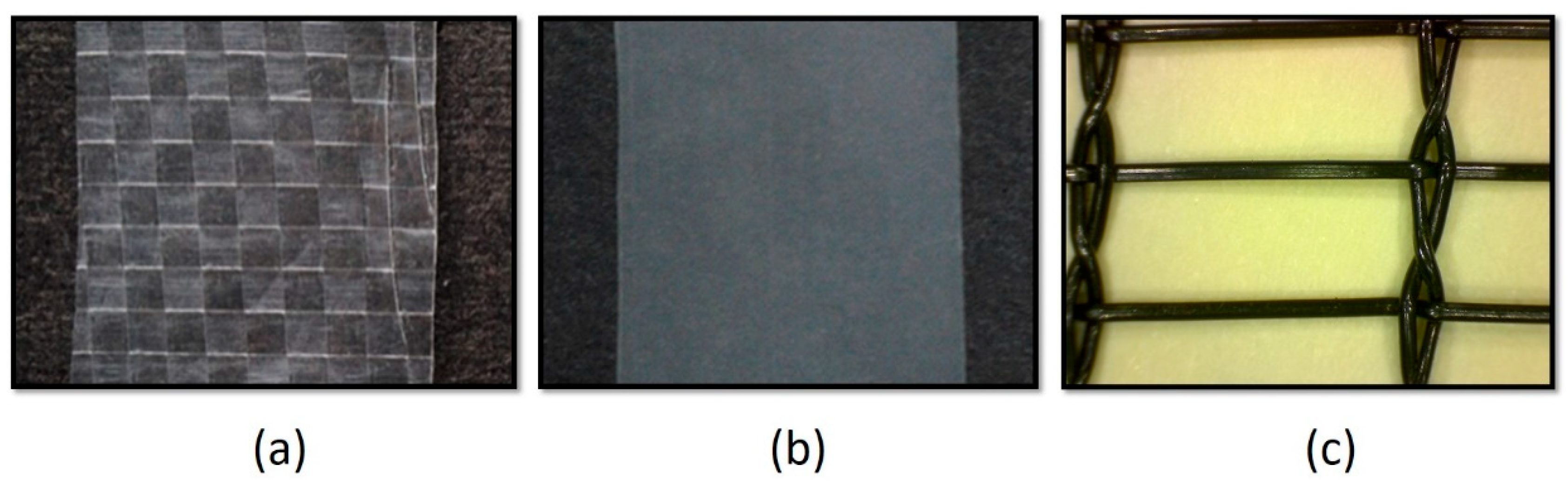 Preprints 85048 g011