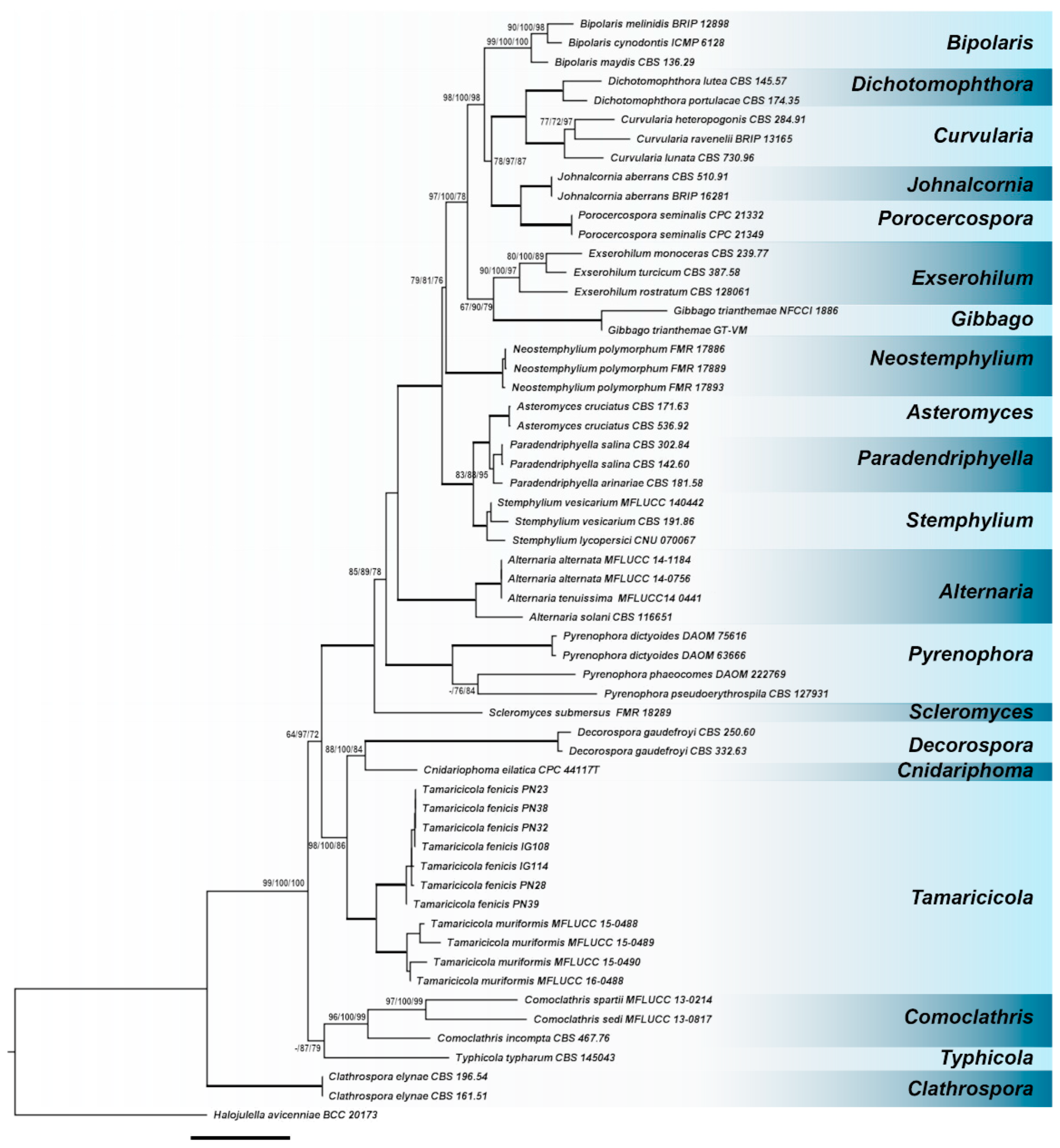 Preprints 180690 g001