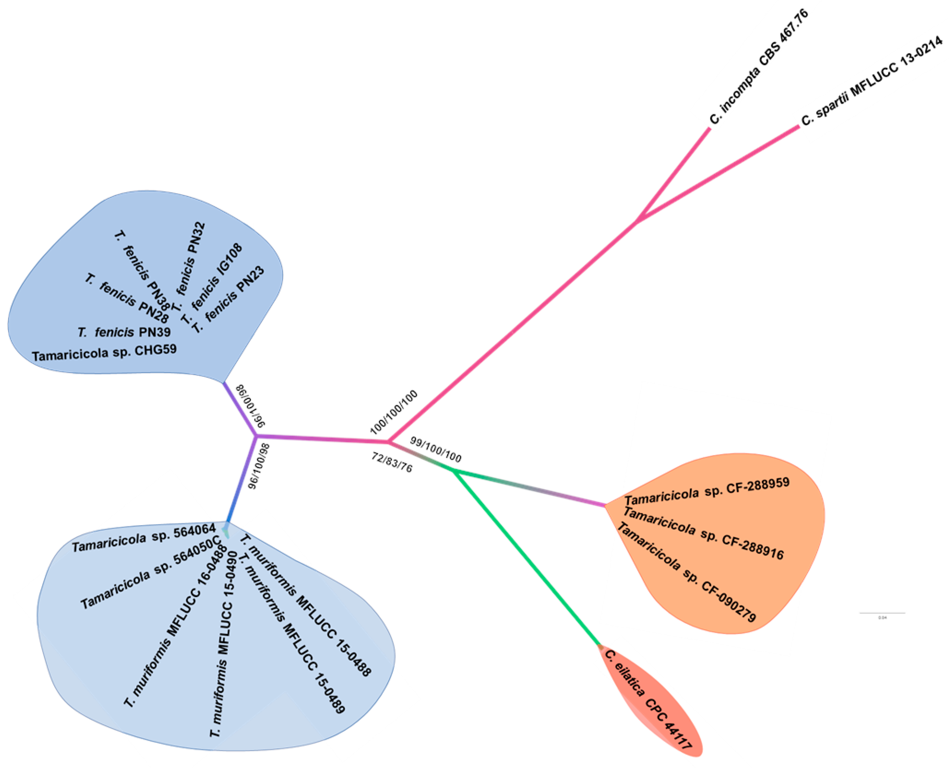 Preprints 180690 g002