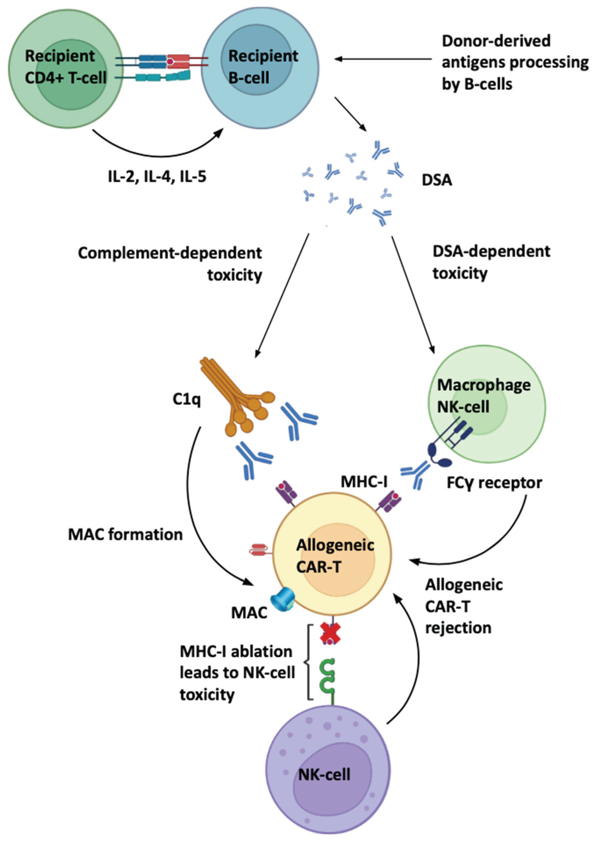 Preprints 190800 g001