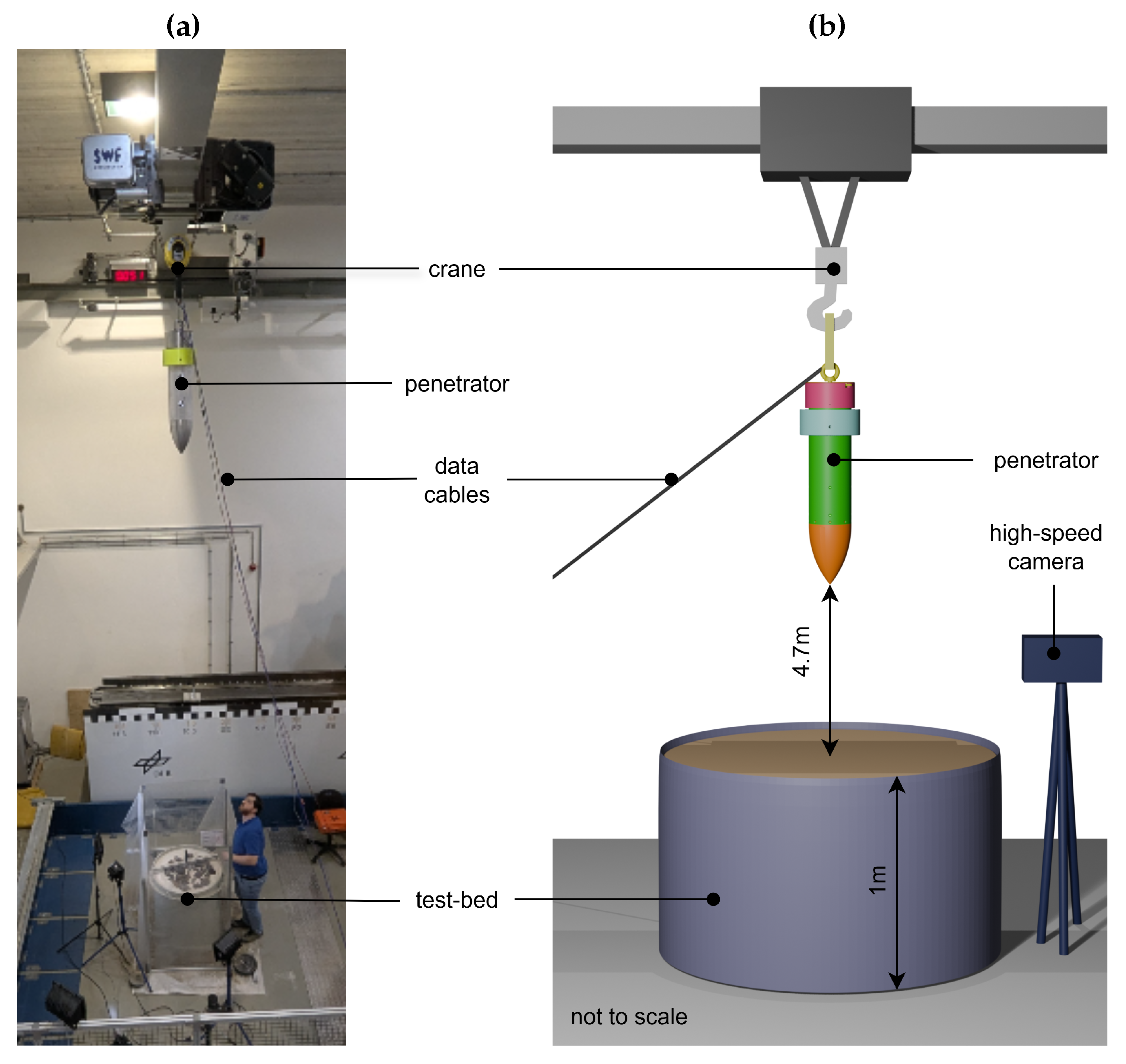 Preprints 217185 g011