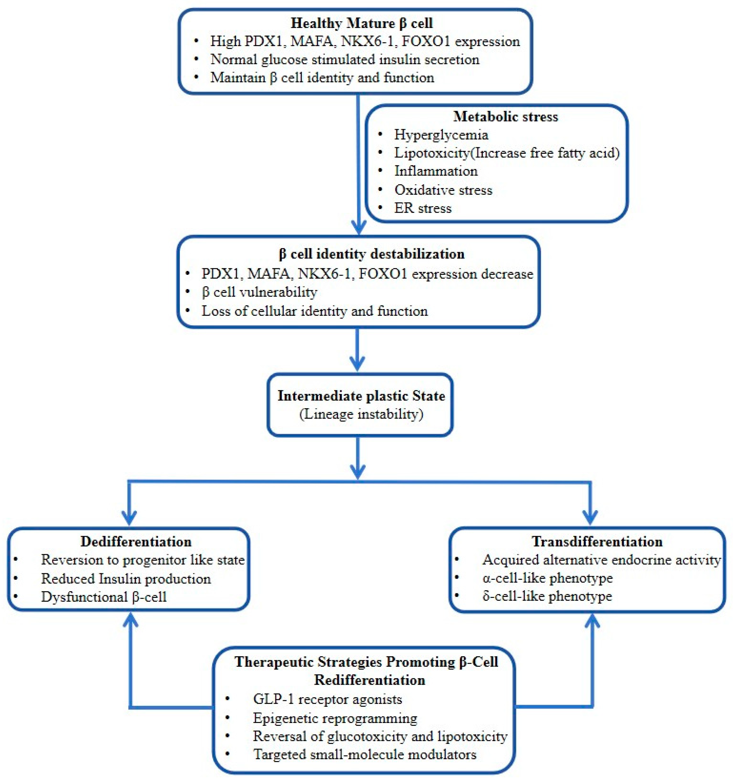 Preprints 231314 g002
